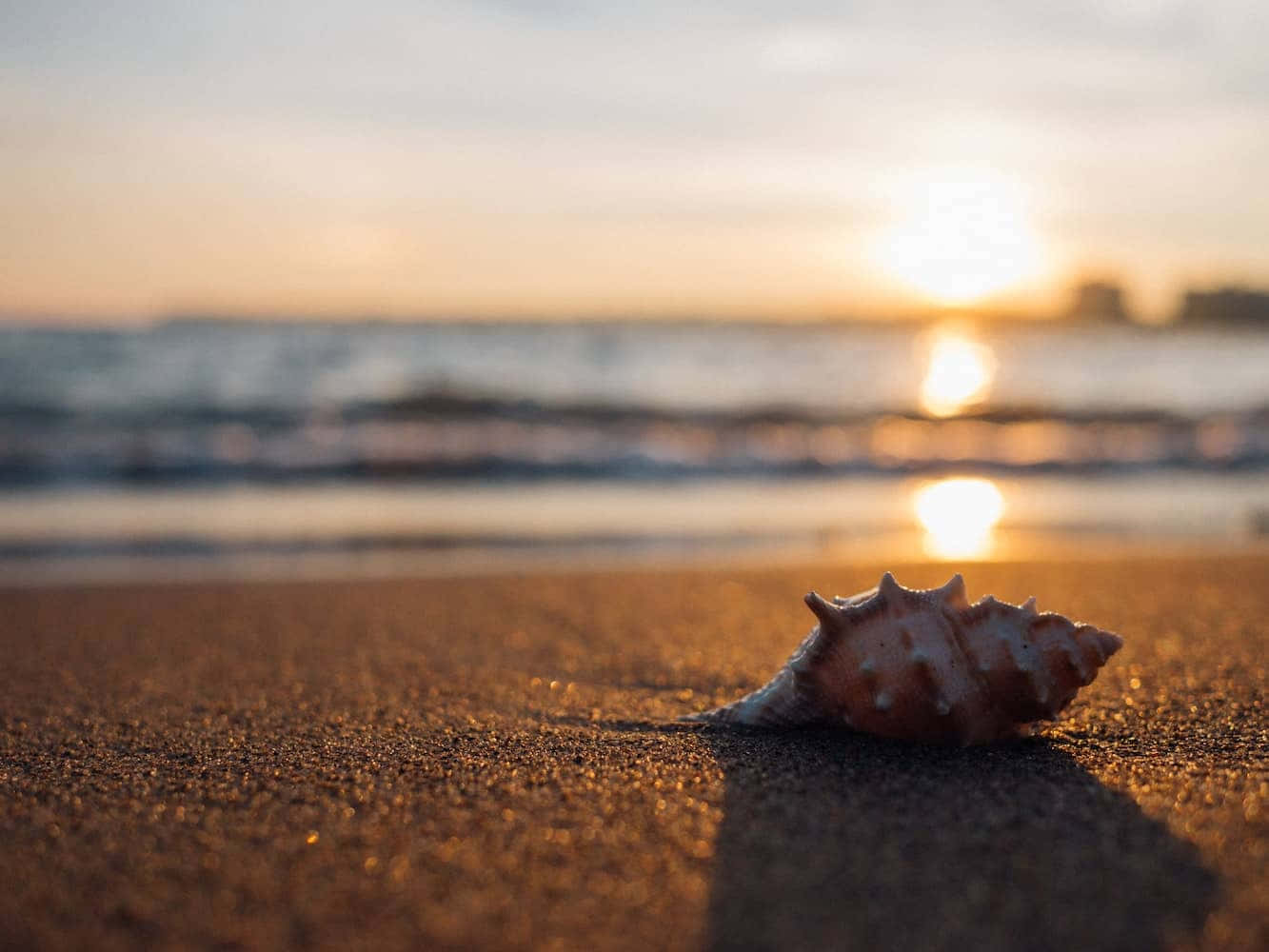 Sea Beach 桌布 壁紙 — 一個有紋理的貝殼擱在濕沙上，背後金色的夕陽光芒在海浪上閃爍。