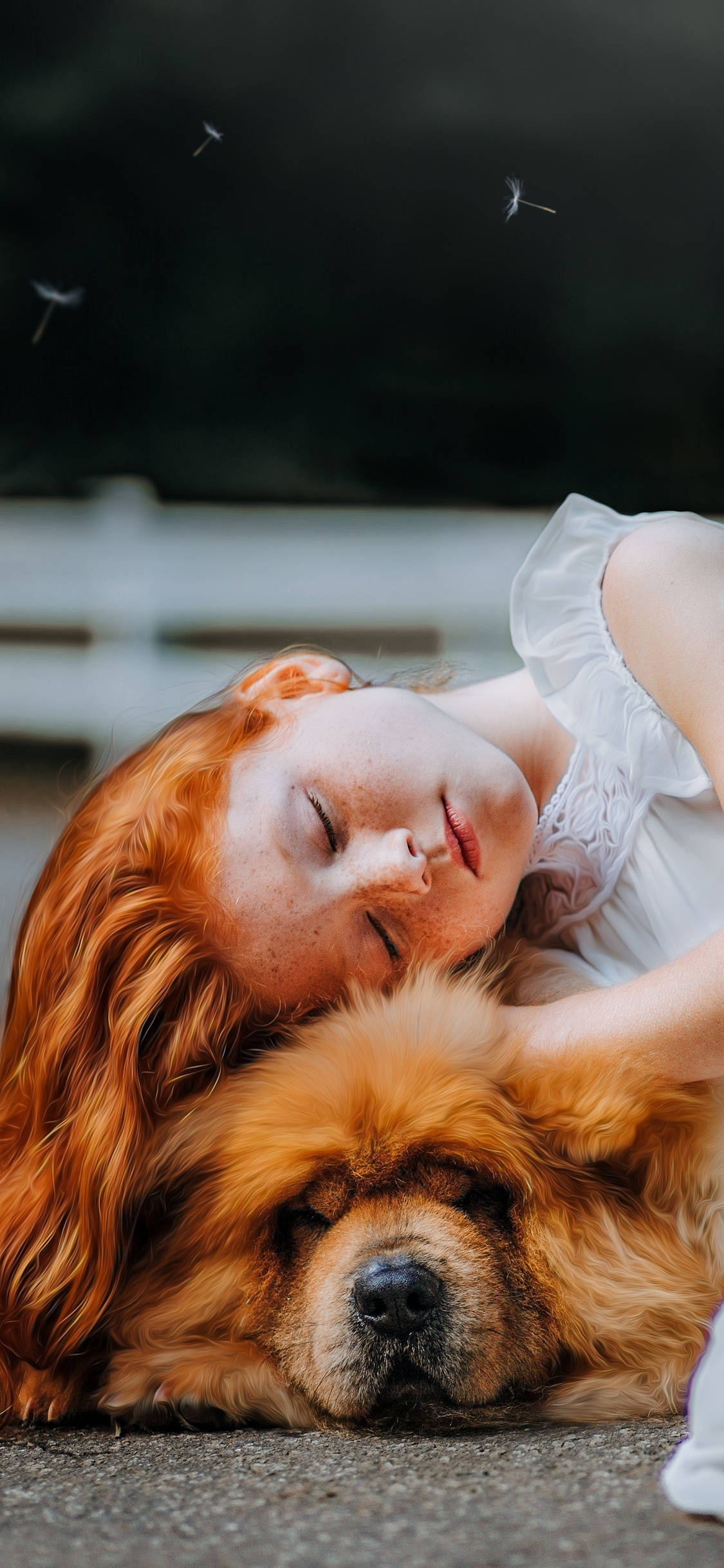 Dog And Girl 桌布 壁紙 — 一個有雀斑的紅髮女孩，頭枕在一隻毛茸茸的金色狗身上，安詳地睡著，蜻蜓在附近盤旋。