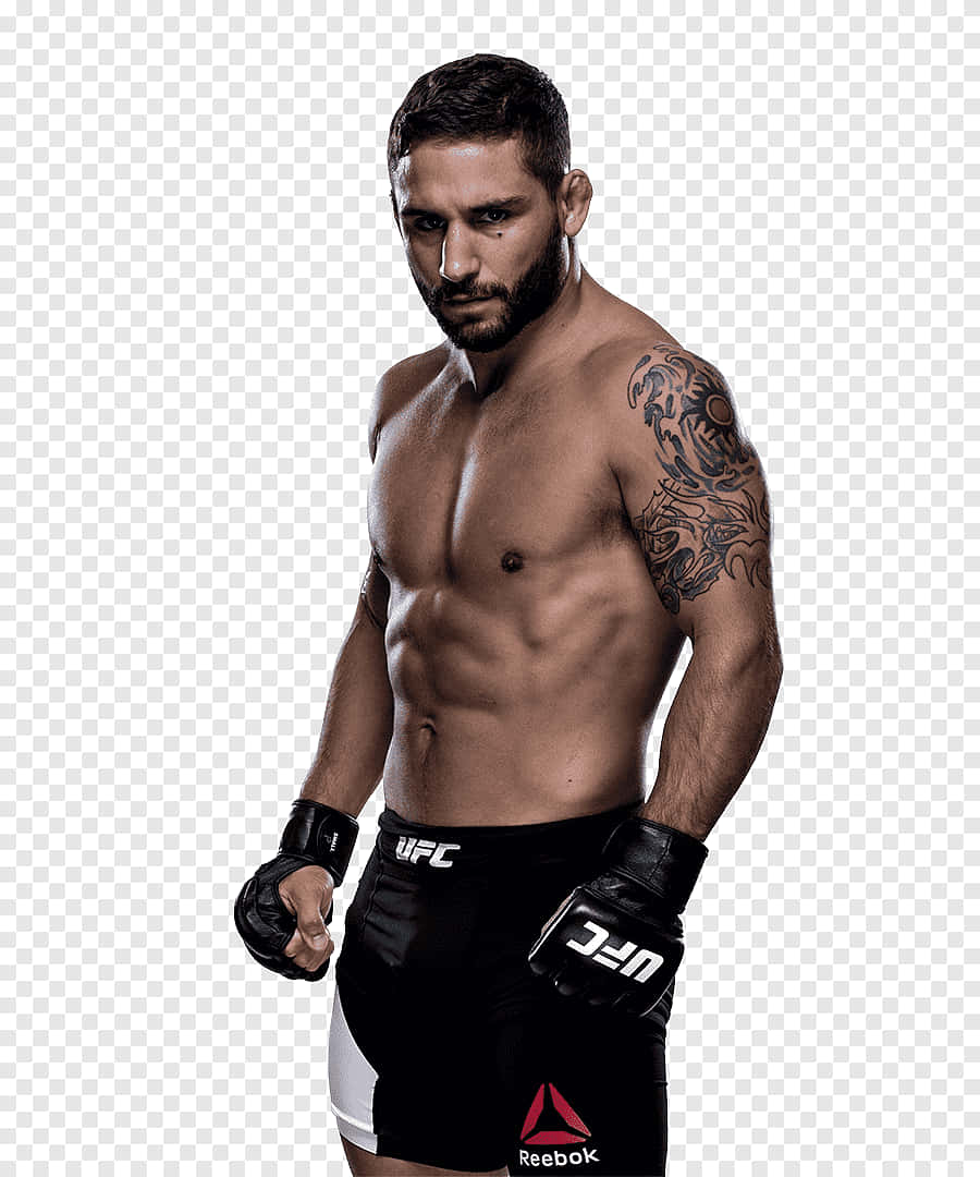 一個赤裸上身、有鬍鬚和手臂紋身的男性MMA戰士，戴著UFC手套和短褲。 — Giga Chad GIF 壁紙