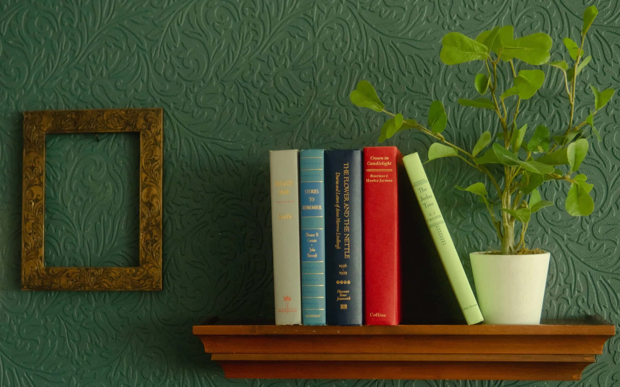 Aesthetic Books 桌布 壁紙 — 一個木架放置著復古書籍和盆栽植物，背景是帶有紋理的綠色壁紙，上面有一個華麗的空畫框。