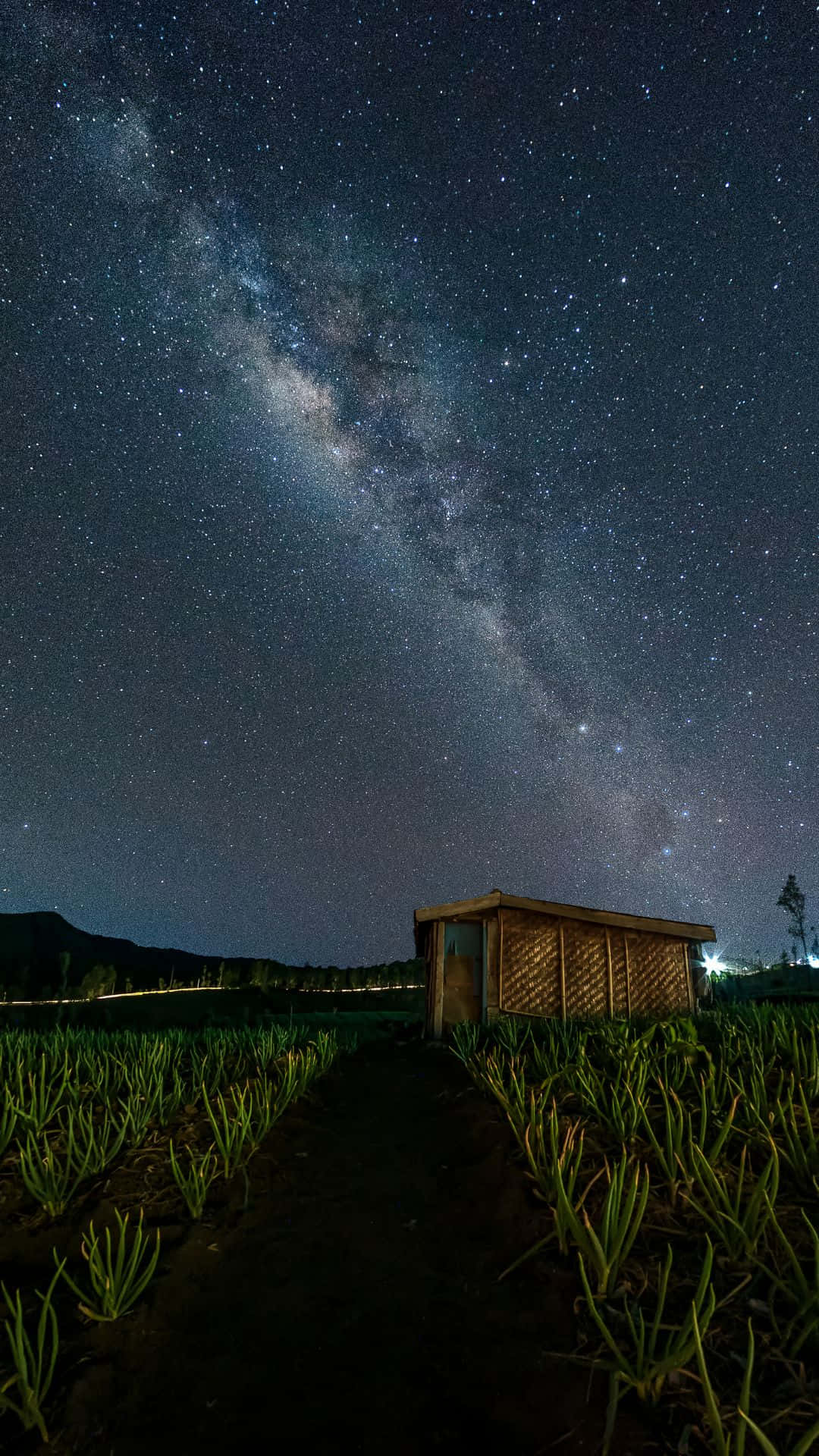星空動畫 桌布 壁紙 — 一個木棚坐落在一片綠色植物的田野中，上方是令人嘆為觀止的星空，銀河拱起。