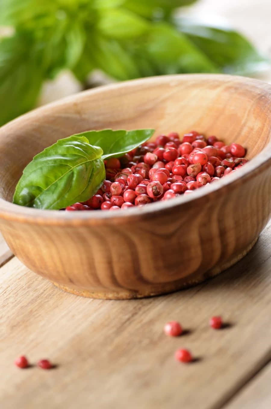 Pink Peppercorn 桌布 壁紙 — 一個木碗裝滿了鮮紅色的胡椒粒和新鮮的綠色羅勒葉，放在一張質樸的木桌上。