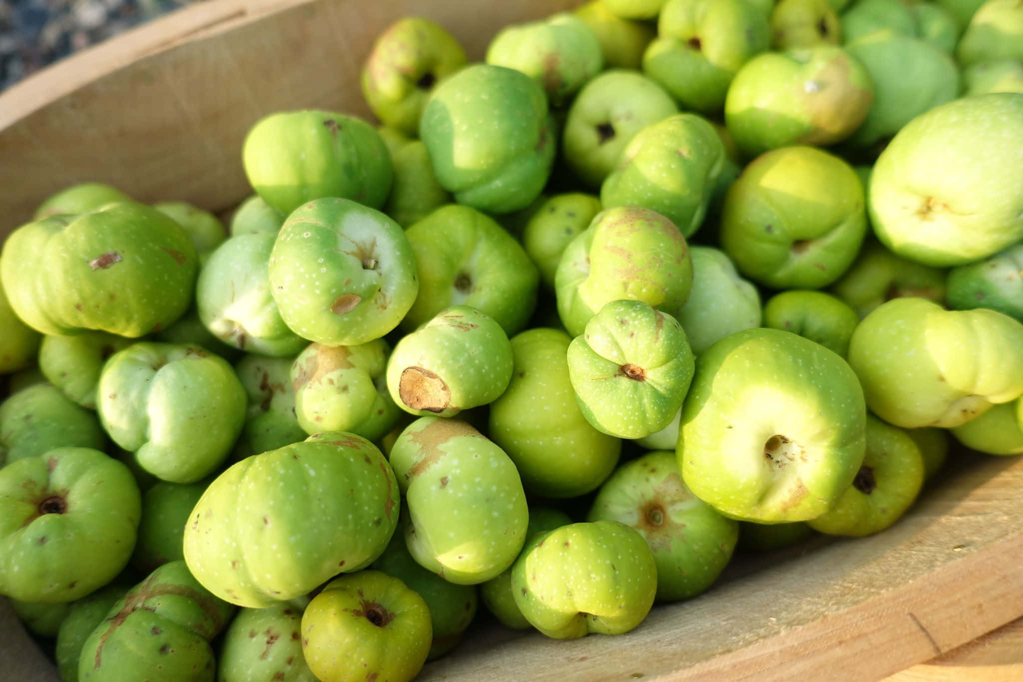 Quince 桌布 壁紙 — 一個木籃子裝滿新鮮的綠色無花果，沐浴在溫暖的陽光下。