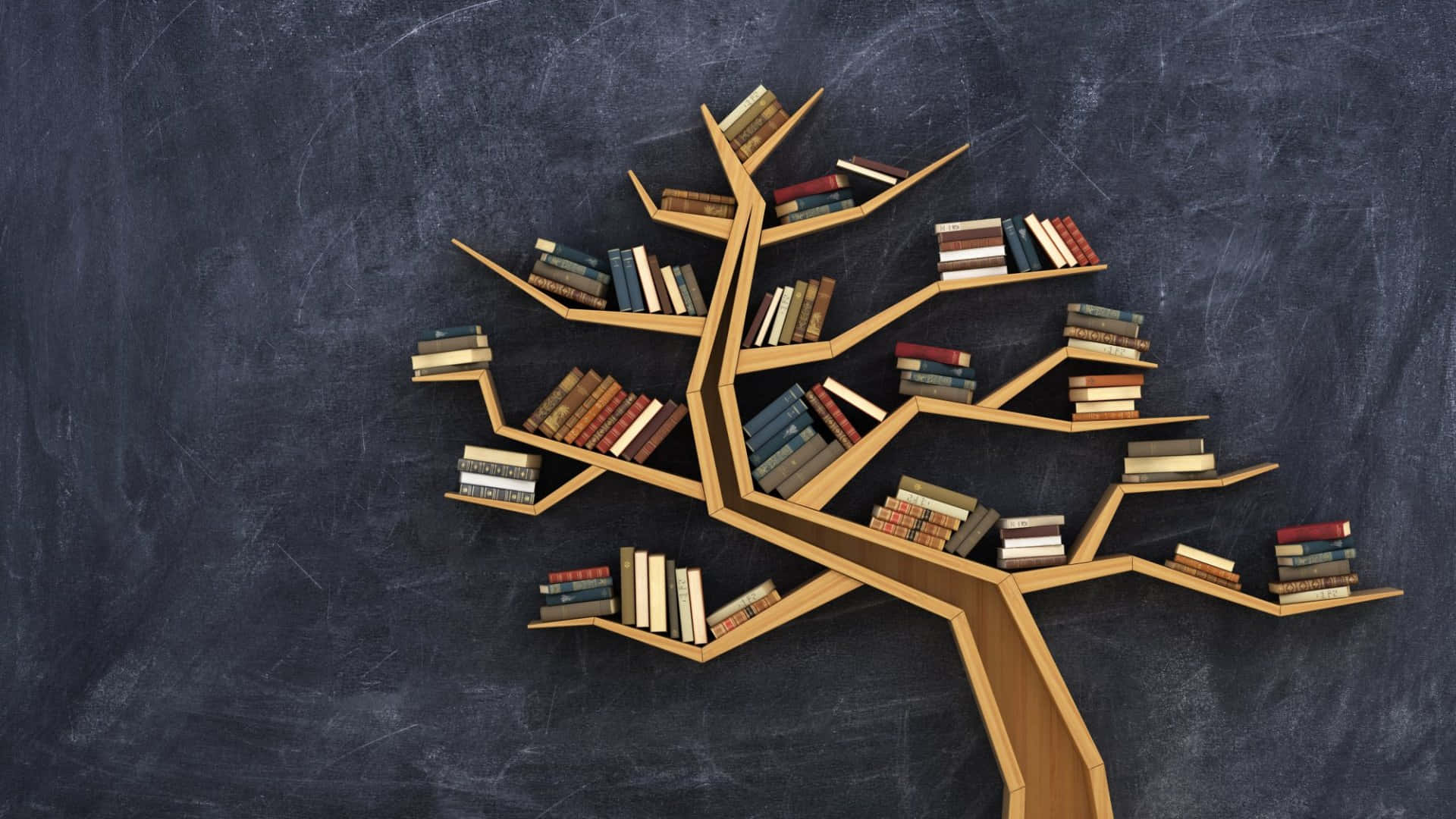 Knowledge 桌布 壁紙 — 一個木製樹形書架，上面放滿了色彩繽紛的書籍，靠著深色黑板背景。