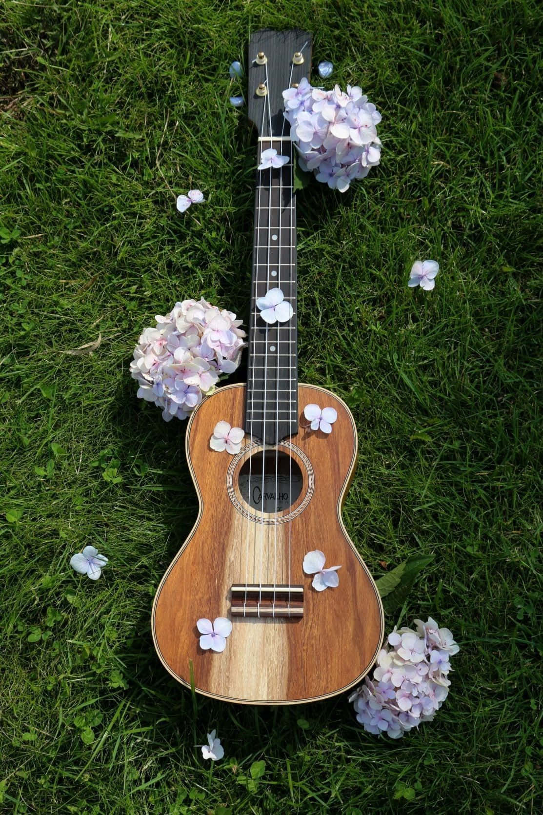 Guitar Aesthetic 桌布 壁紙 — 一個木製烏克麗麗放在充滿活力的綠色草地上，點綴著精緻的紫色和白色繡球花。