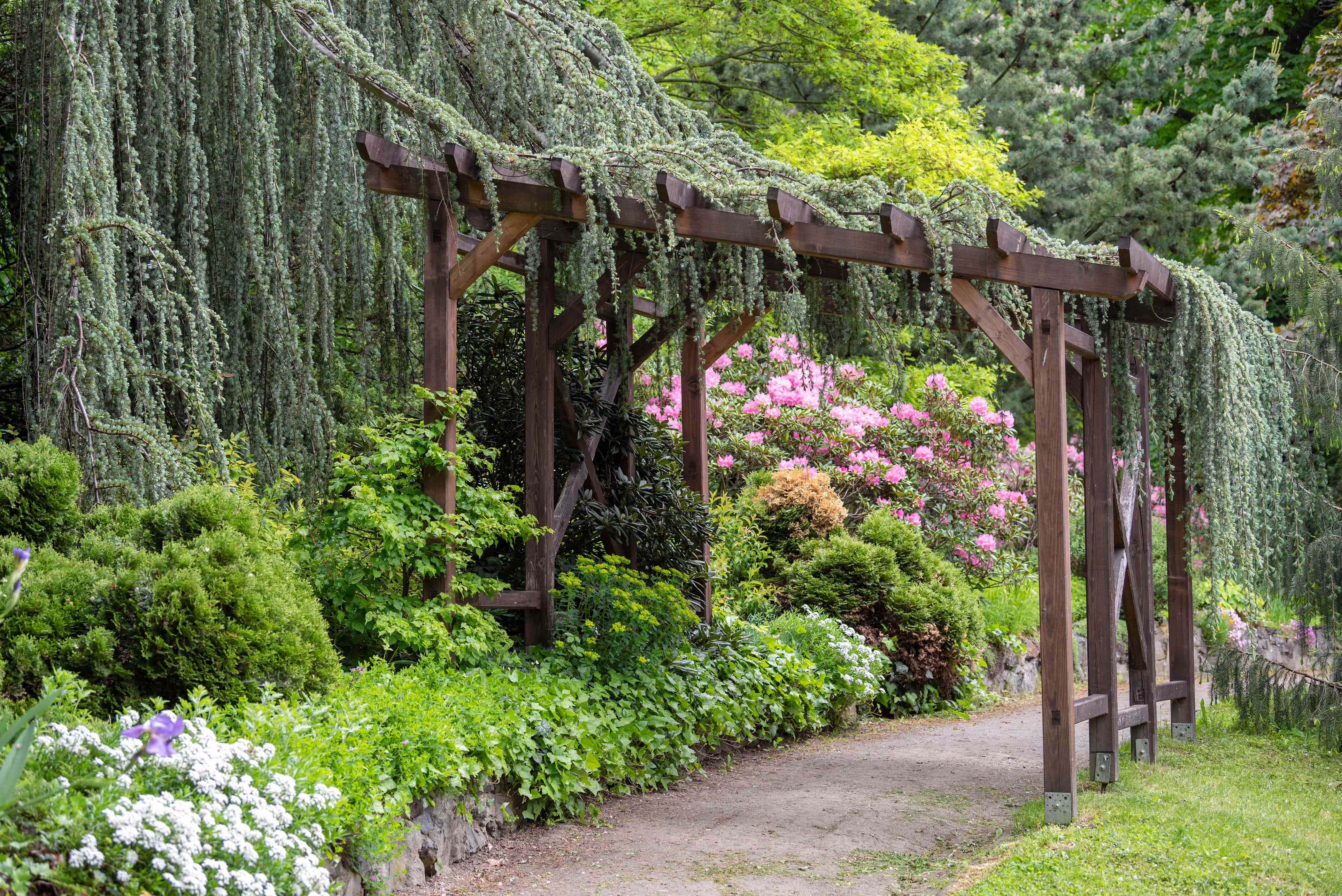 Garden Design 桌布 壁紙 — 一個木製藤架，垂掛著層層疊疊的綠色植物，環繞著一條蜿蜒的小徑，穿過一個開滿粉紅色和白色花朵的茂盛花園。