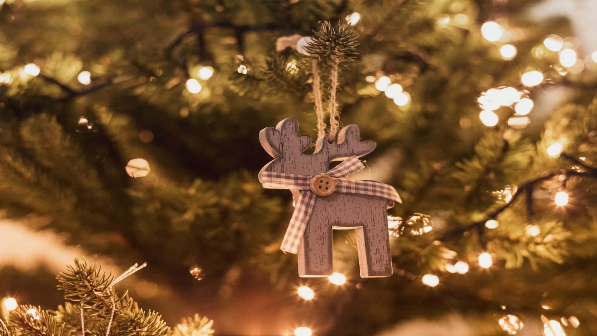 Christmas Deer 桌布 壁紙 — 一個木製馴鹿裝飾品，繫著格子絲帶，掛在裝飾著溫暖閃爍仙女燈的松樹上。