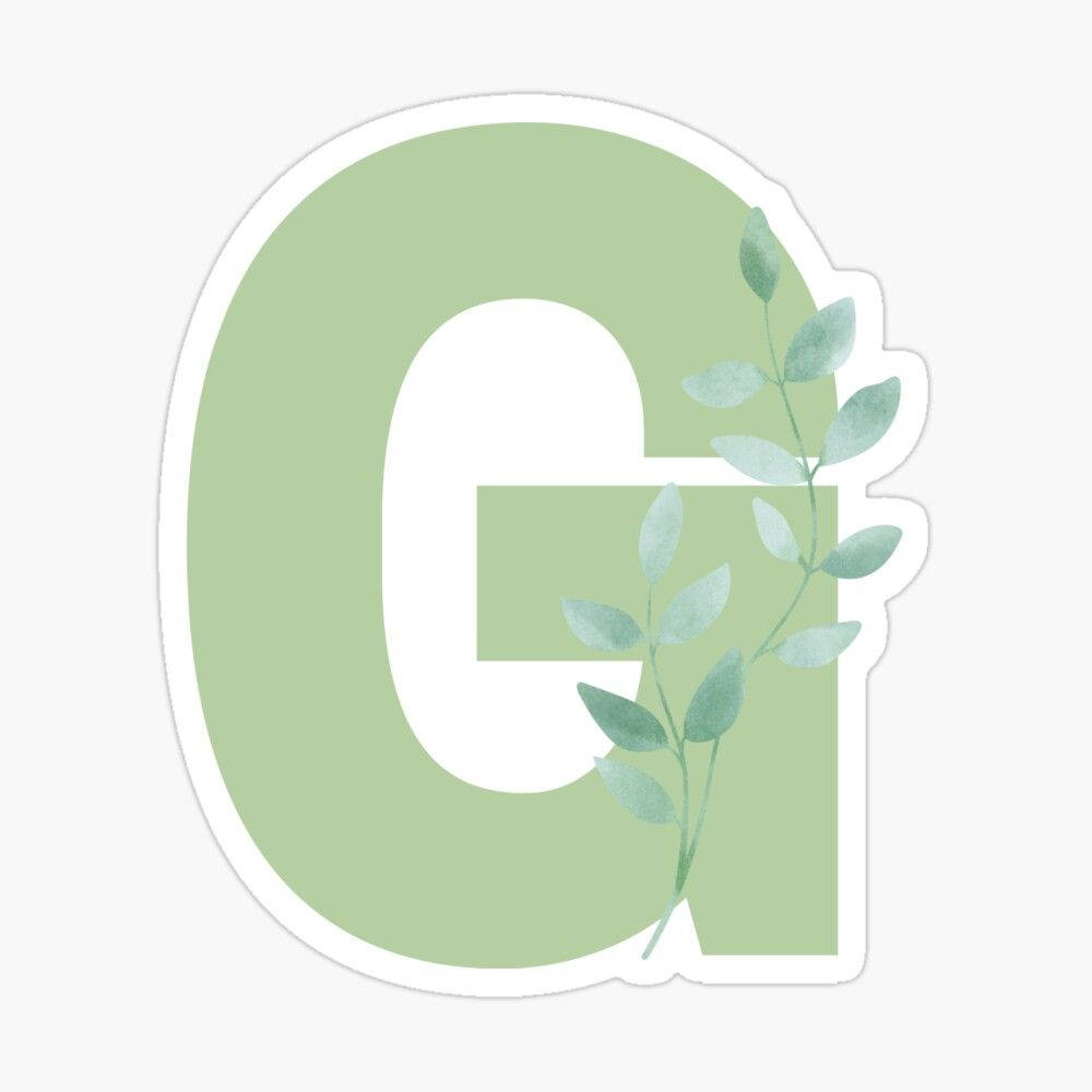 g 桌布 壁紙 — 一個柔和的綠色字母G，在乾淨的白色背景上飾有精緻的水彩葉子。