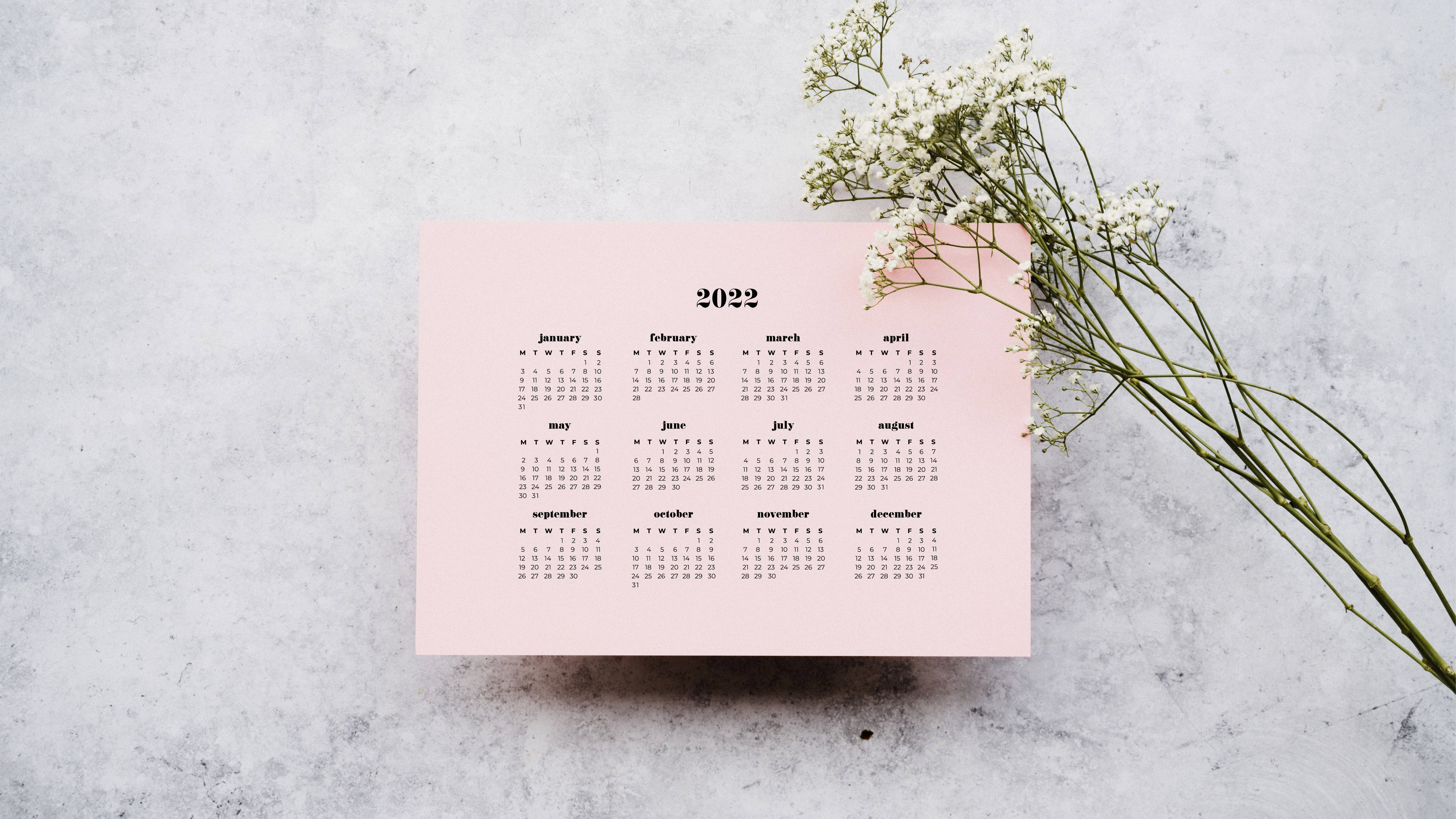 Calendar 桌布 壁紙 — 一個柔和粉紅色的簡約2022年月曆放在有紋理的灰色表面上，旁邊是精緻的白色滿天星花朵。