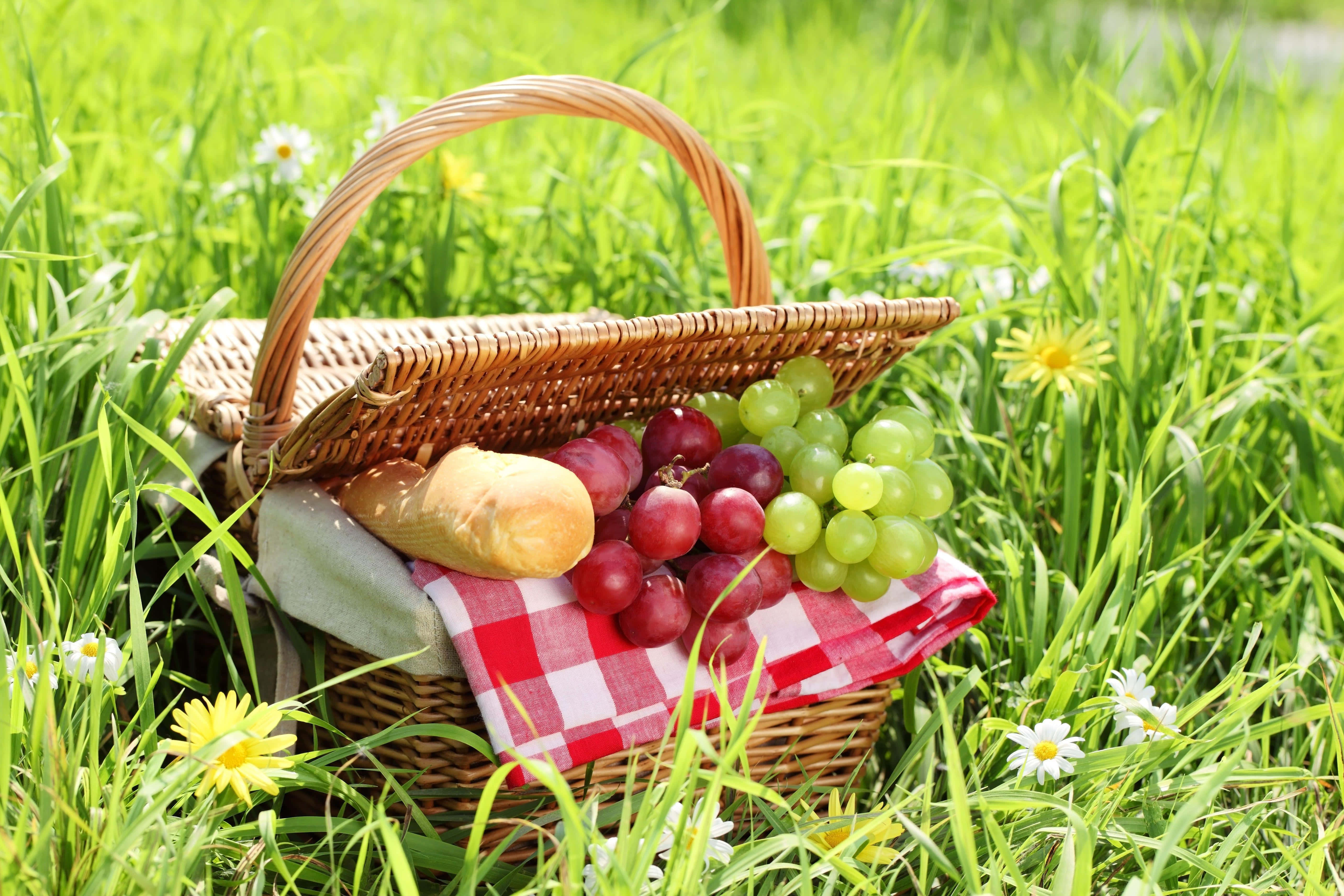 picnic 桌布 壁紙 — 一個柳條編織的野餐籃，裝滿了葡萄和麵包，放在點綴著雛菊和黃花的鮮綠色草地上。