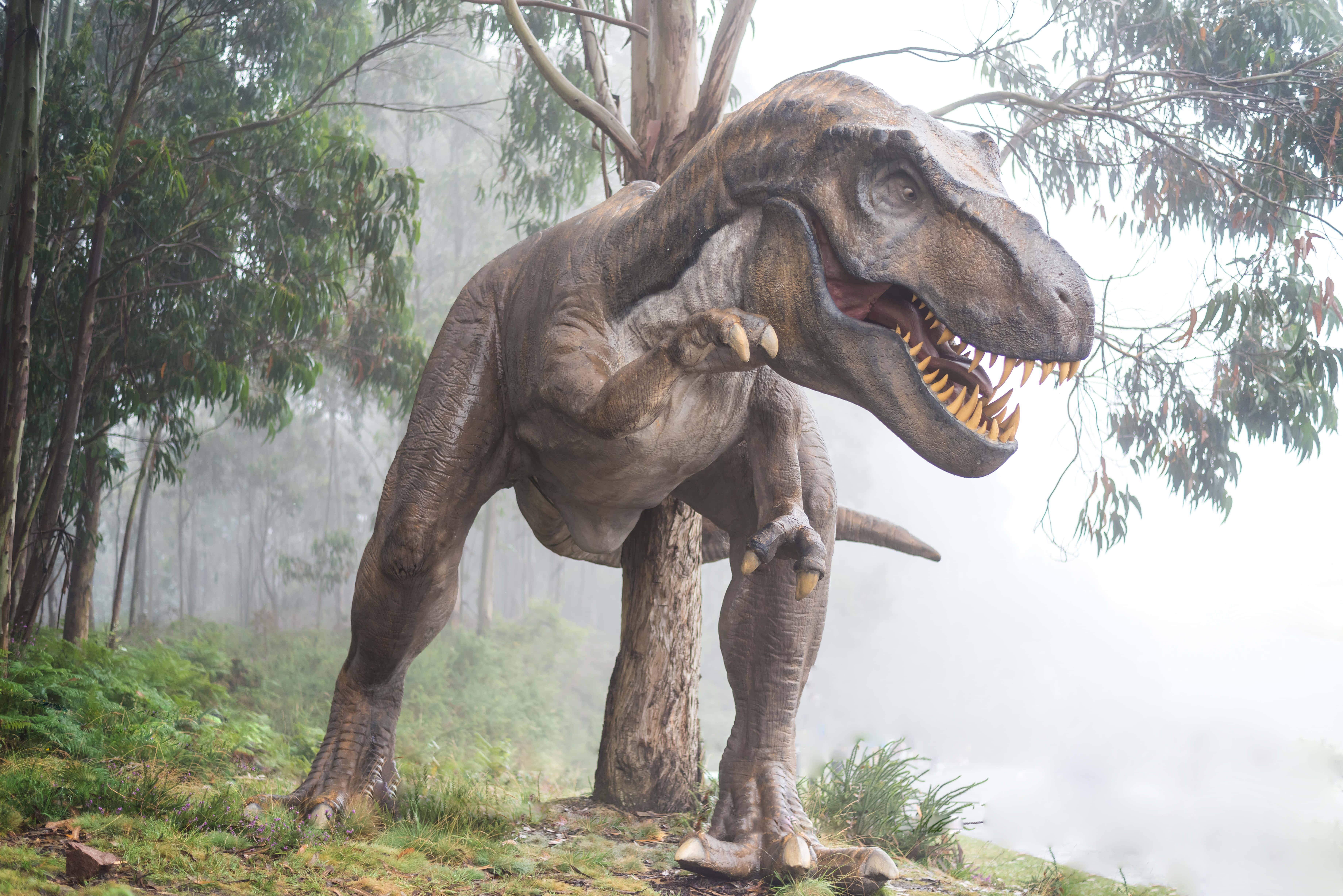 Realistic Dinosaur 桌布 壁紙 — 一個栩栩如生的暴龍雕像，在霧氣瀰漫的森林中，伴隨著蕨類植物和桉樹，威風凜凜地站立著。