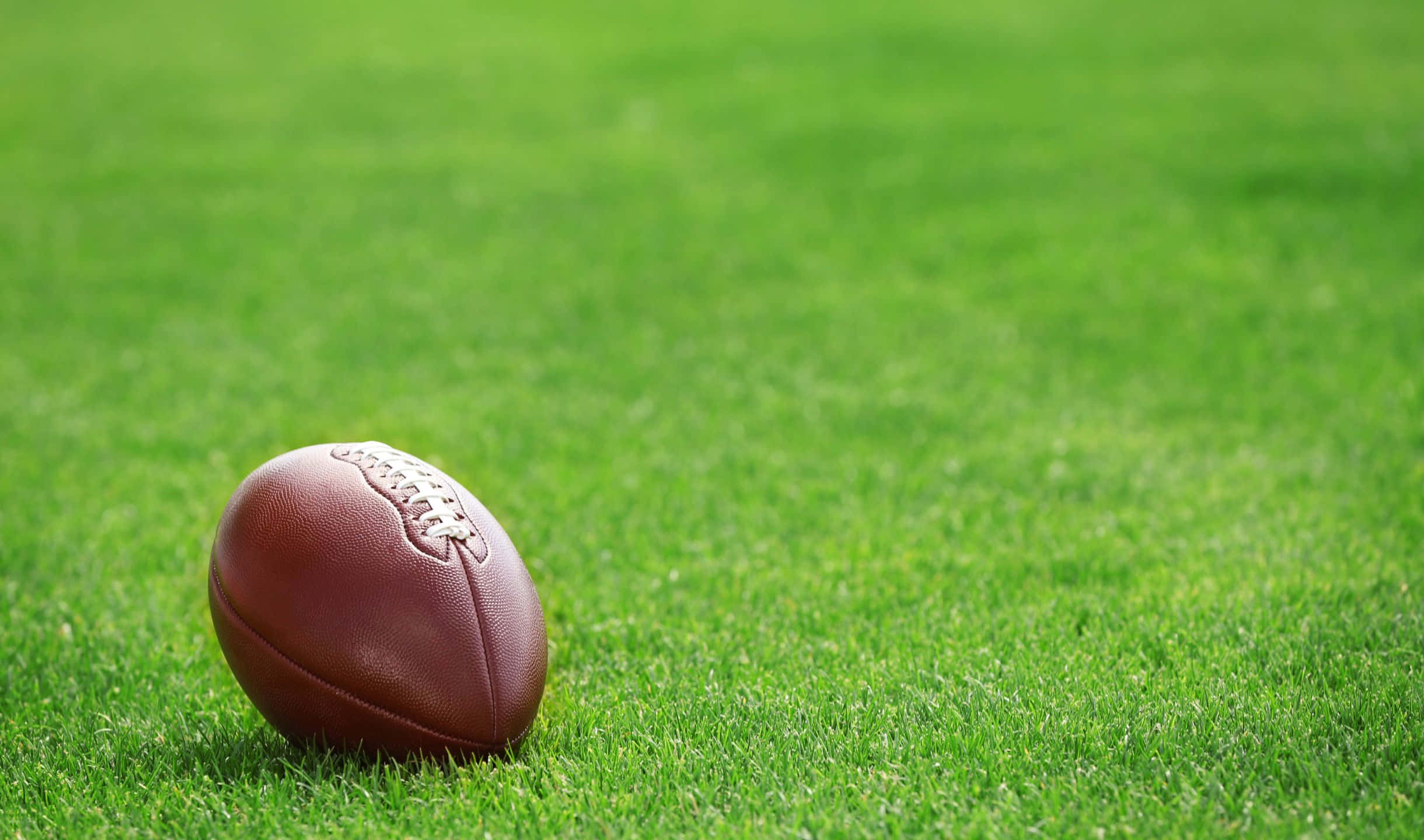2440x1440 Football 桌布 壁紙 — 一個棕色皮革美式足球在明亮的日光下放在充滿活力的綠色草地上。