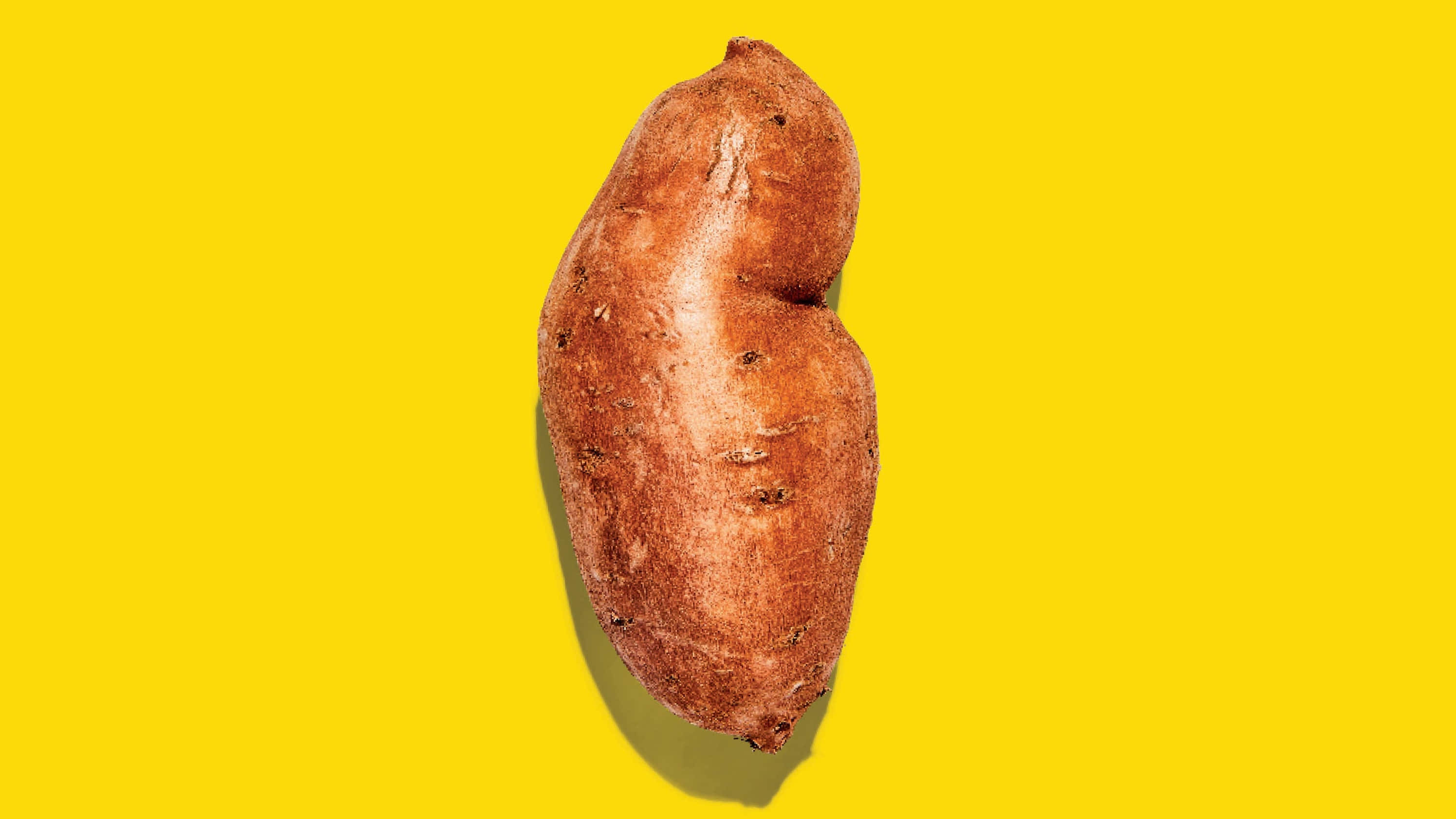 Yellow Sweet Potato 桌布 壁紙 — 一個棕色粗糙外皮的蕃薯，置中在鮮黃色背景上。