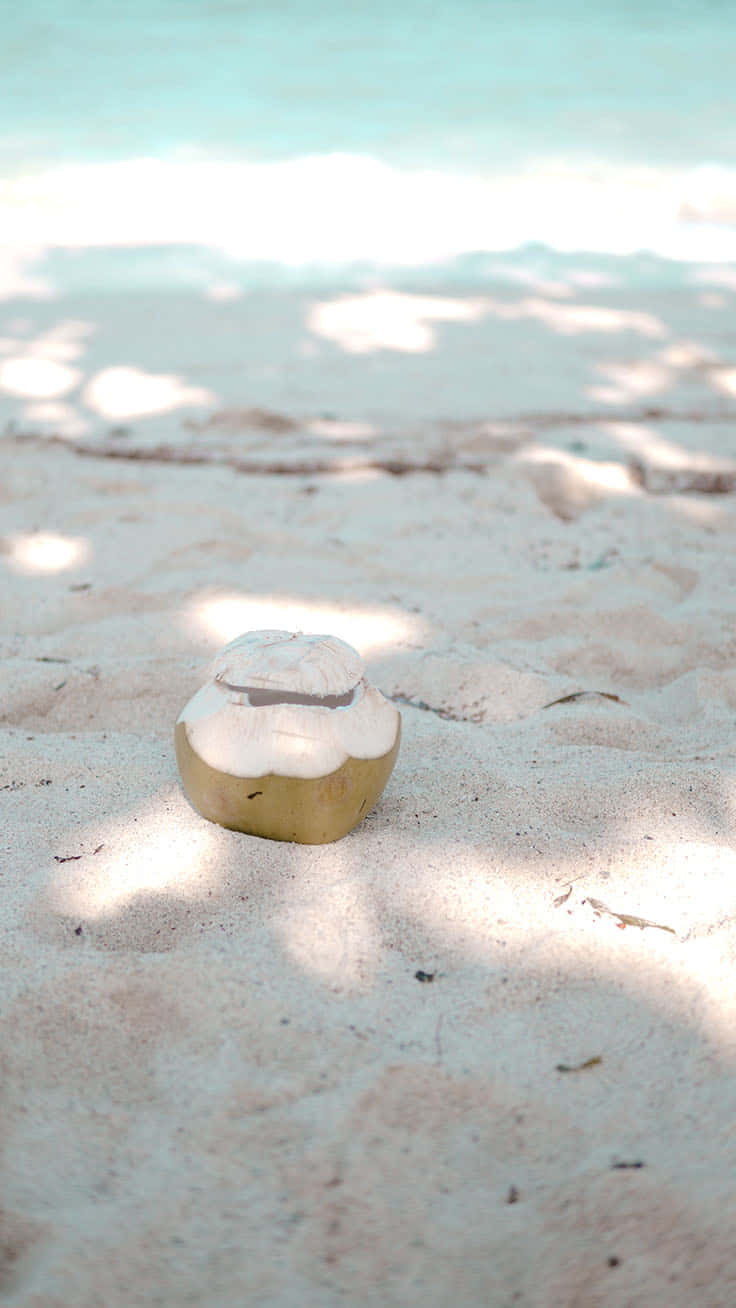 Cute Beach iPhone 桌布 壁紙 — 一個椰子放在陽光照射的白沙上，上方樹木的斑駁陰影映在附近碧綠的水面上。