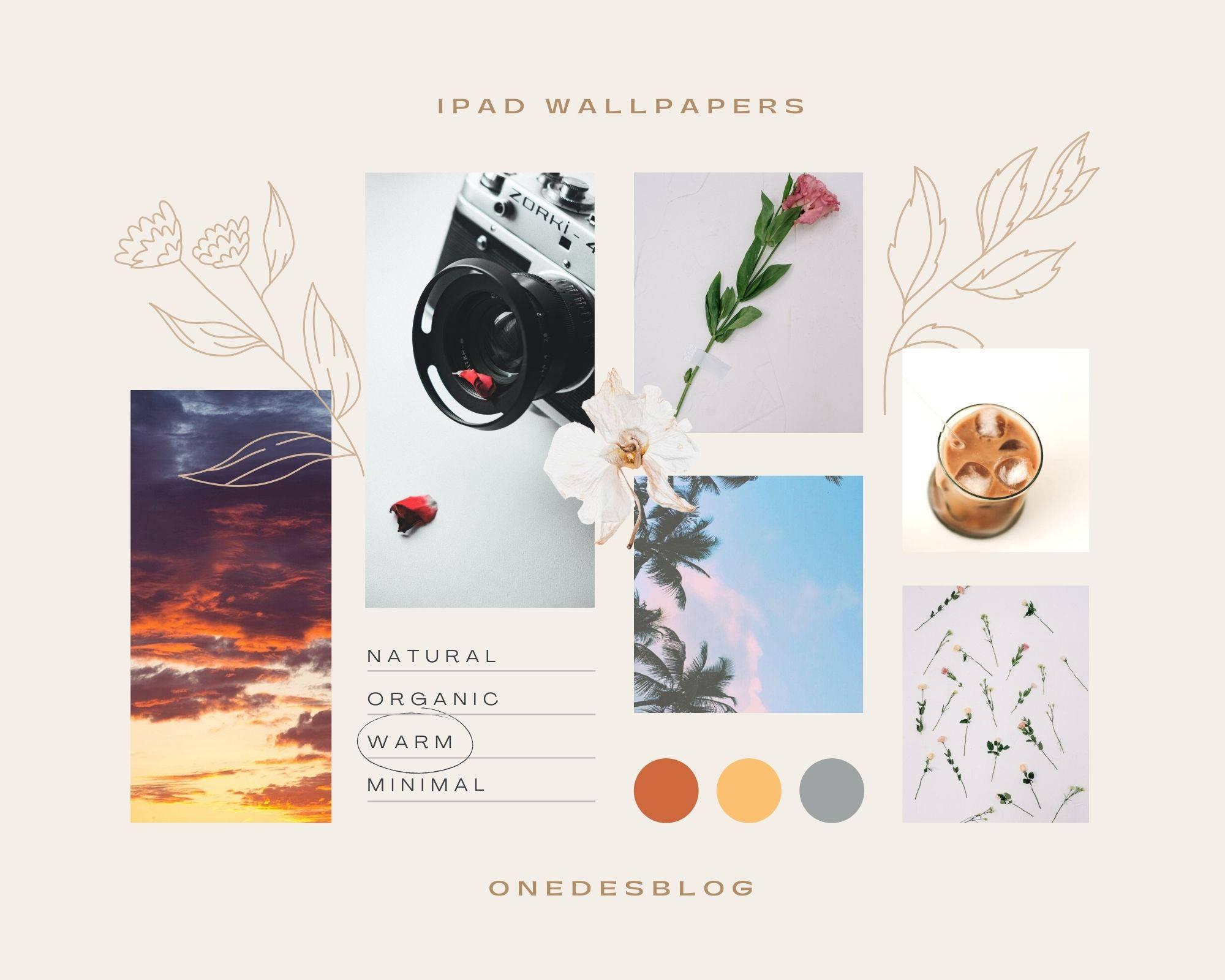 Cute Simple Aesthetic Desktop 桌布 壁紙 — 一個極簡主義的拼貼畫，包含自然和生活方式照片，包括日落天空、相機、玫瑰、咖啡飲品和精緻的花卉插圖。