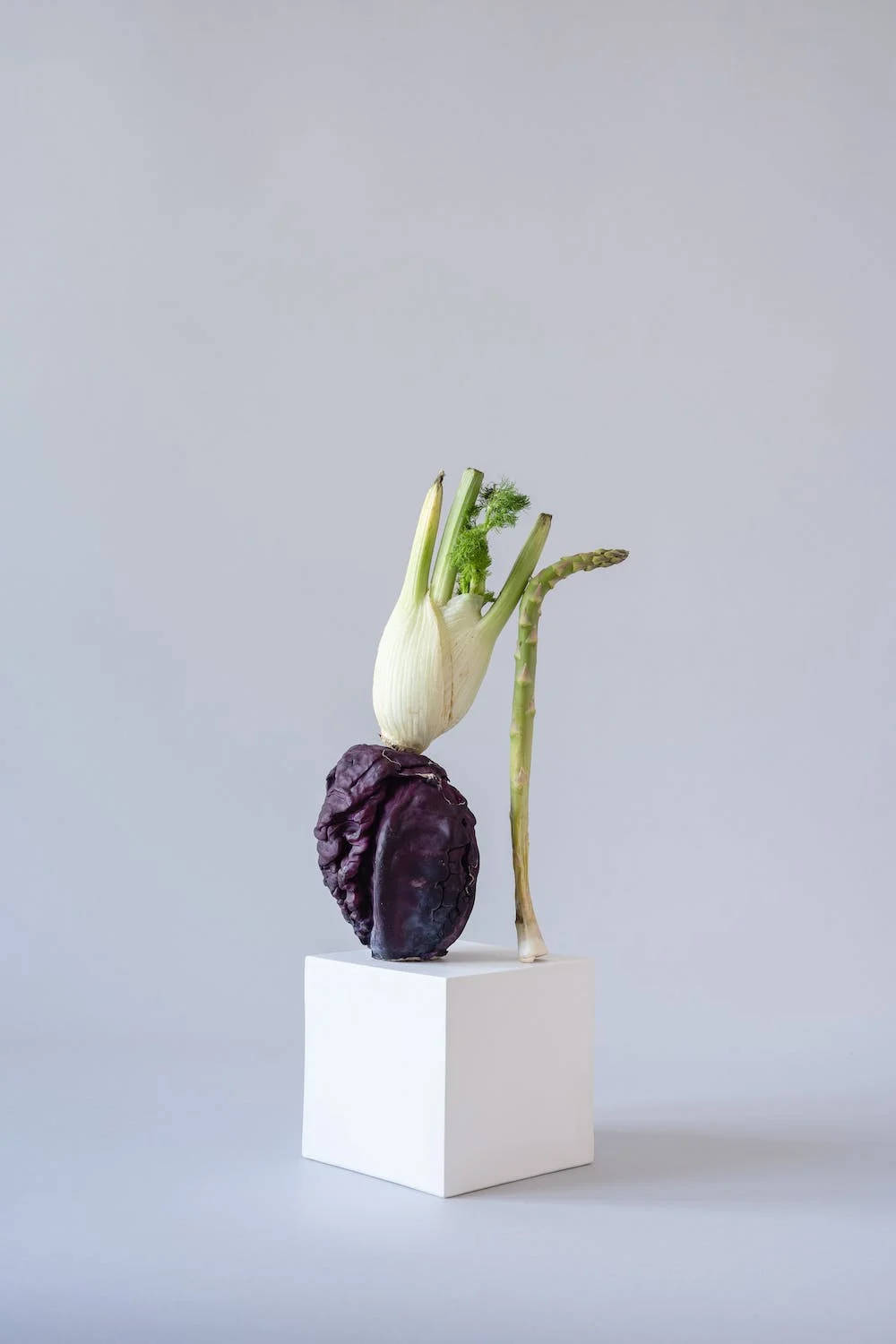 Vegetables 桌布 壁紙 — 一個極簡主義的靜物，白色底座上放著一個茴香球莖和紫高麗菜，背景是純灰色。
