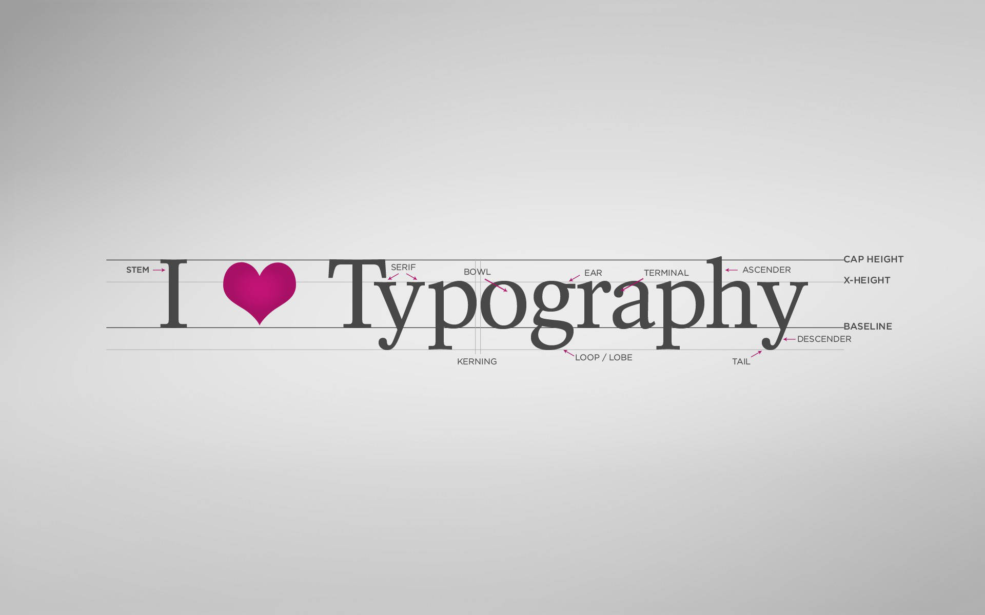 Typography 桌布 壁紙 — 一個極簡圖形，在柔和的灰色漸變背景上，圍繞「I ♥ Typography」短語展示帶有標籤的字體解剖部分。