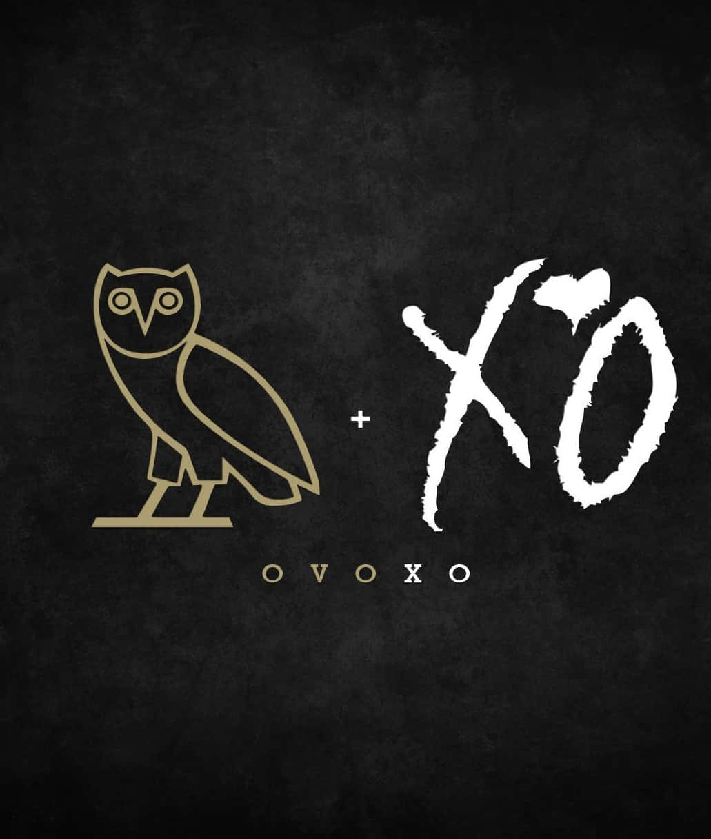 桌布 壁紙 — 一個極簡標誌，包含金色貓頭鷹圖示和白色 XO 文字，背景為帶紋理的黑色。