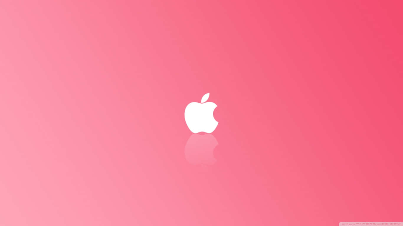 Simple Pink 桌布 壁紙 — 一個極簡白色Apple標誌，居中於柔和粉紅漸變背景上，下方帶有微妙倒影。
