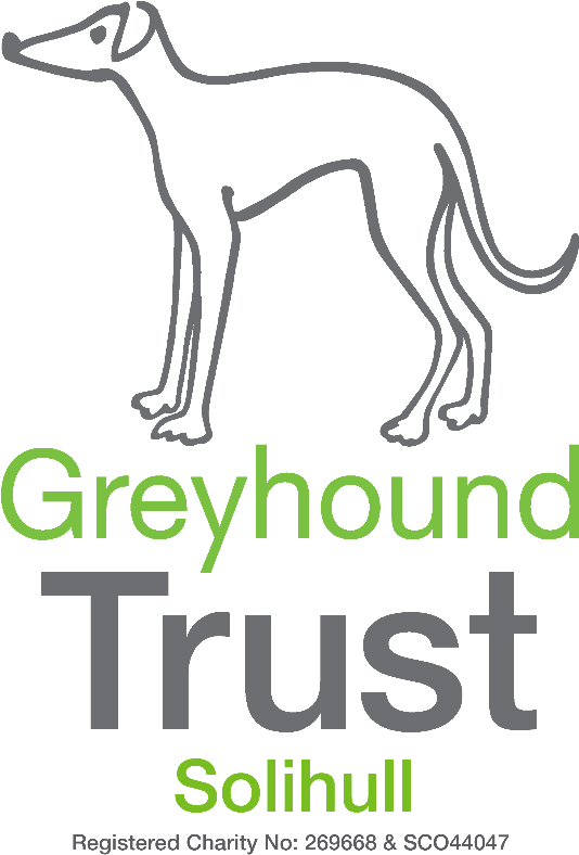 灰狗 桌布 壁紙 — 一個極簡的灰狗剪影矗立在黑色背景上，為Greyhound Trust Solihull的綠色和灰色文字之上。