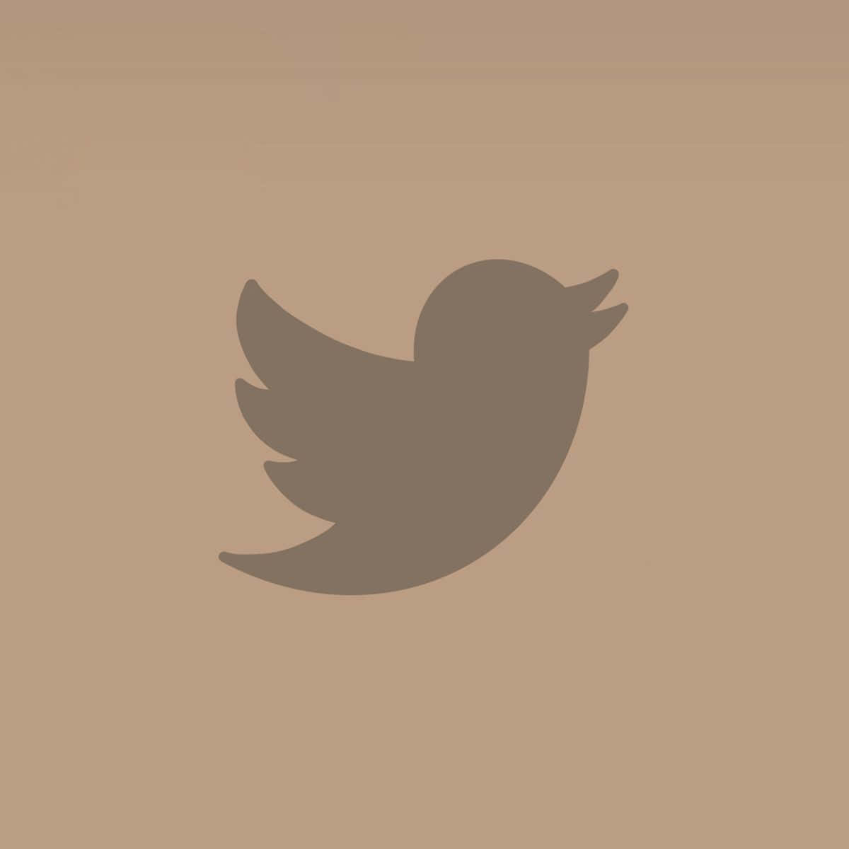 Twitter 桌布 壁紙 — 一個極簡的灰色Twitter鳥標誌，居中在純米色背景上。