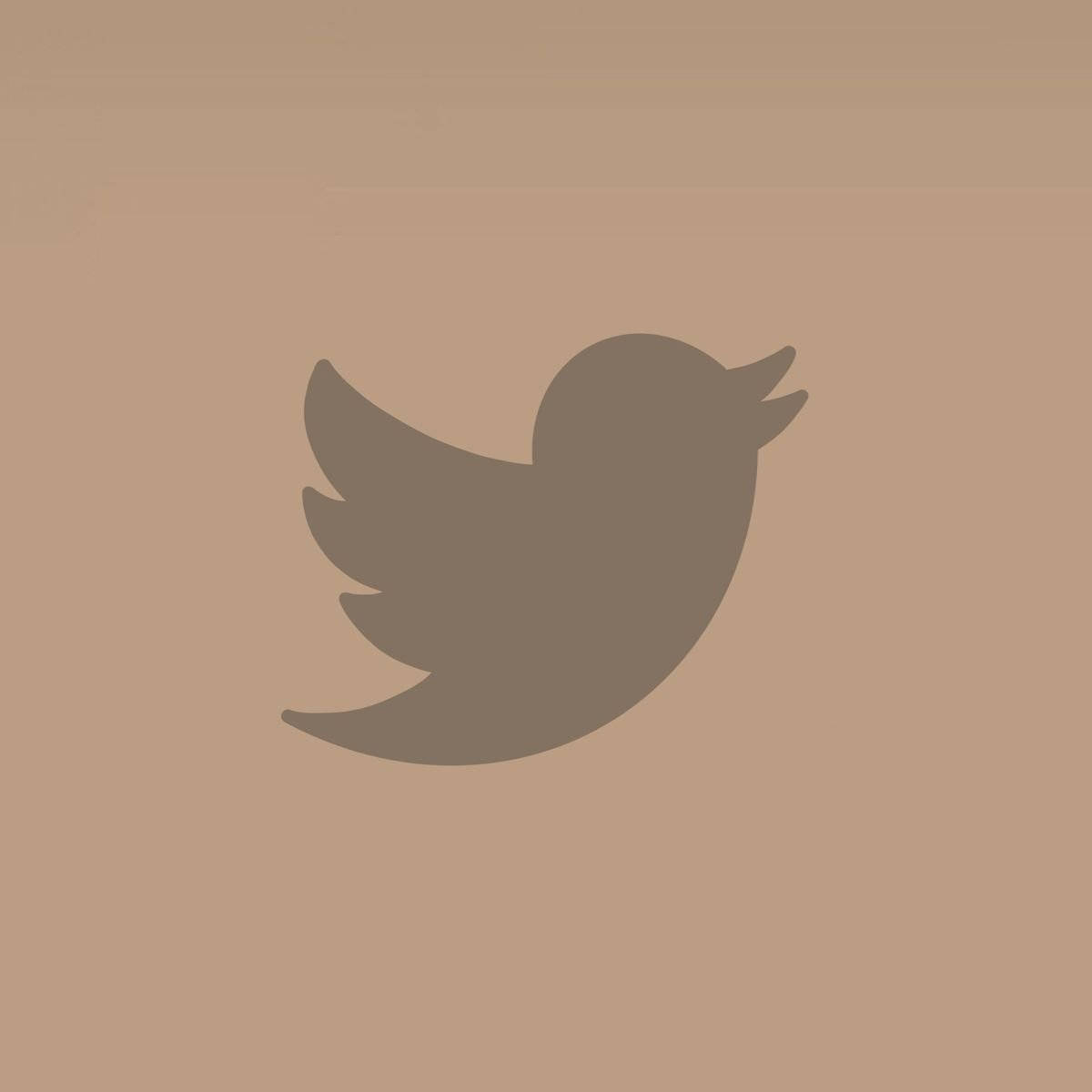 Twitter 桌布 壁紙 — 一個極簡的灰色Twitter鳥標誌，居中於純米色背景上。