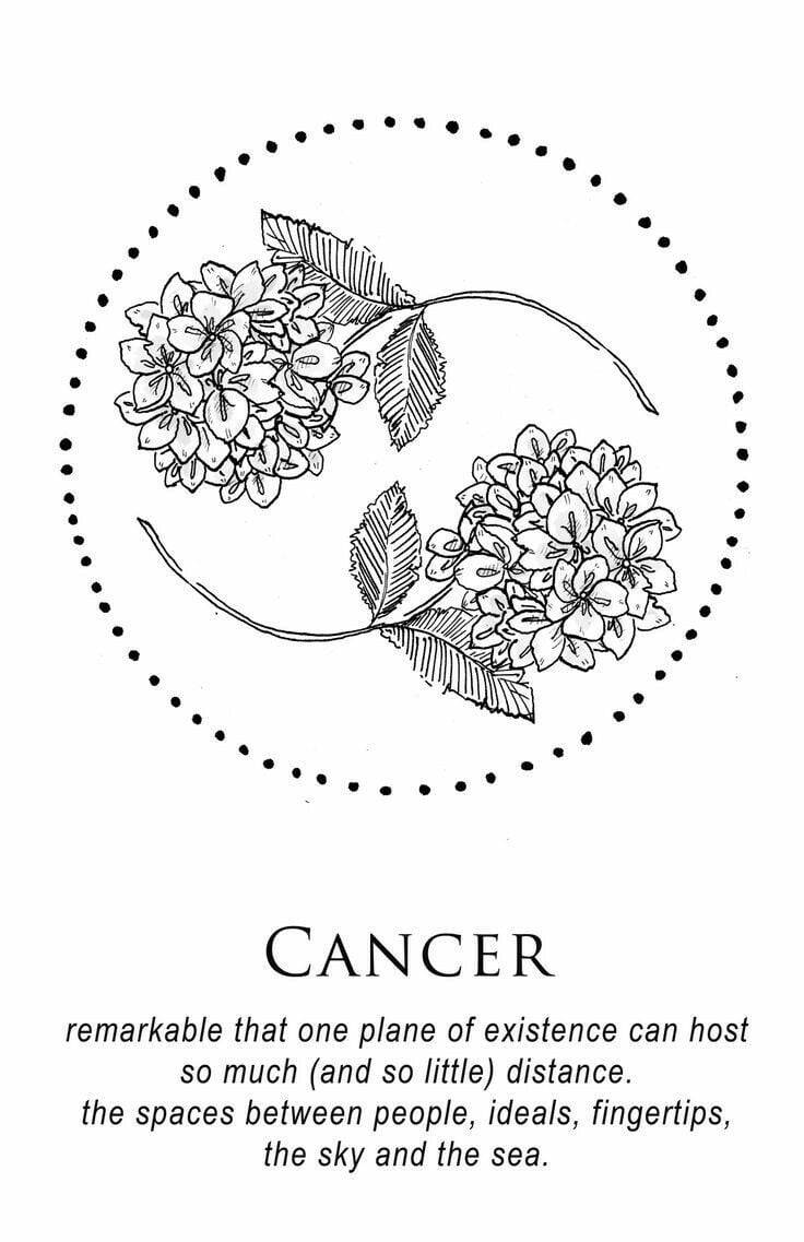 Cancer Aesthetic 桌布 壁紙 — 一個極簡的黑白線條畫，描繪了兩個繡球花簇在一個標有 'CANCER' 的虛線圓圈內。