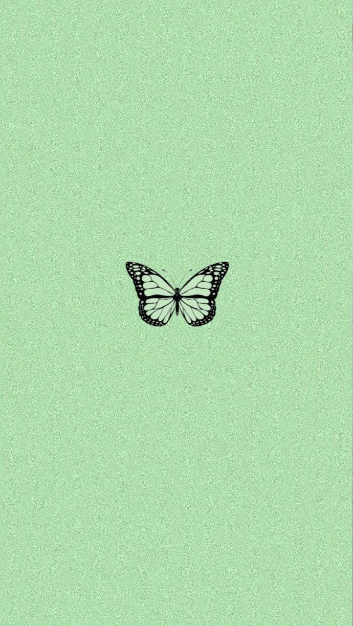 Mint Green iPhone 桌布 壁紙 — 一個極簡的黑白蝴蝶插圖，居中在帶紋理的薄荷綠色背景上。