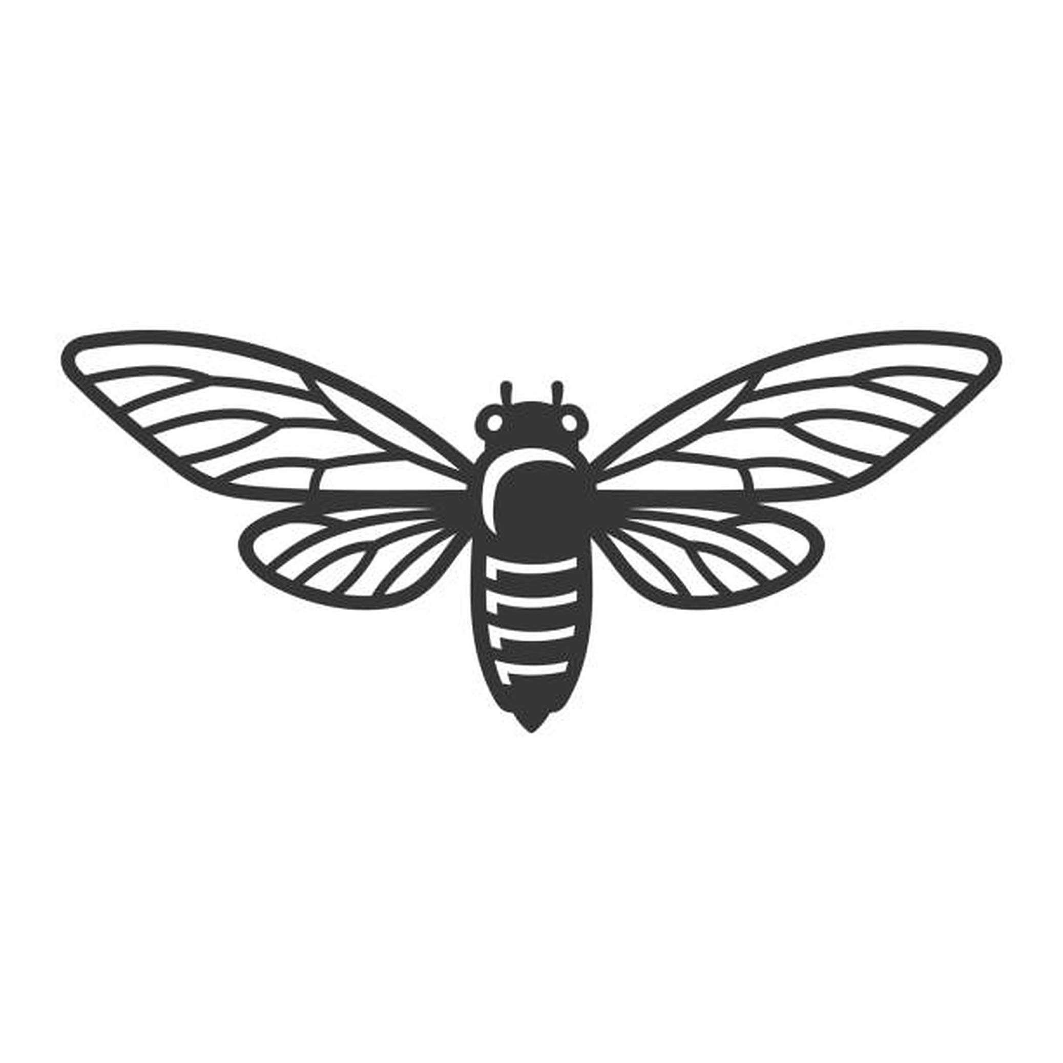 Cicada 桌布 壁紙 — 一個極簡的黑色蟬剪影，帶有詳細的翅脈，背景為純白色。