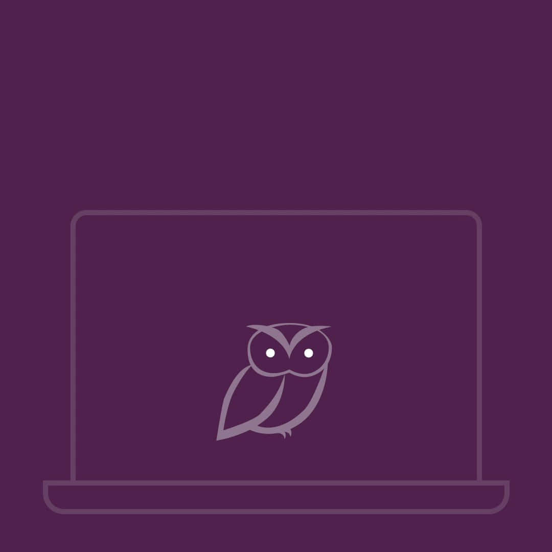Drake Ovo Owl iPhone 桌布 壁紙 — 一個極簡線條藝術貓頭鷹圖示，置於筆記型電腦輪廓中央，背景為純紫色。