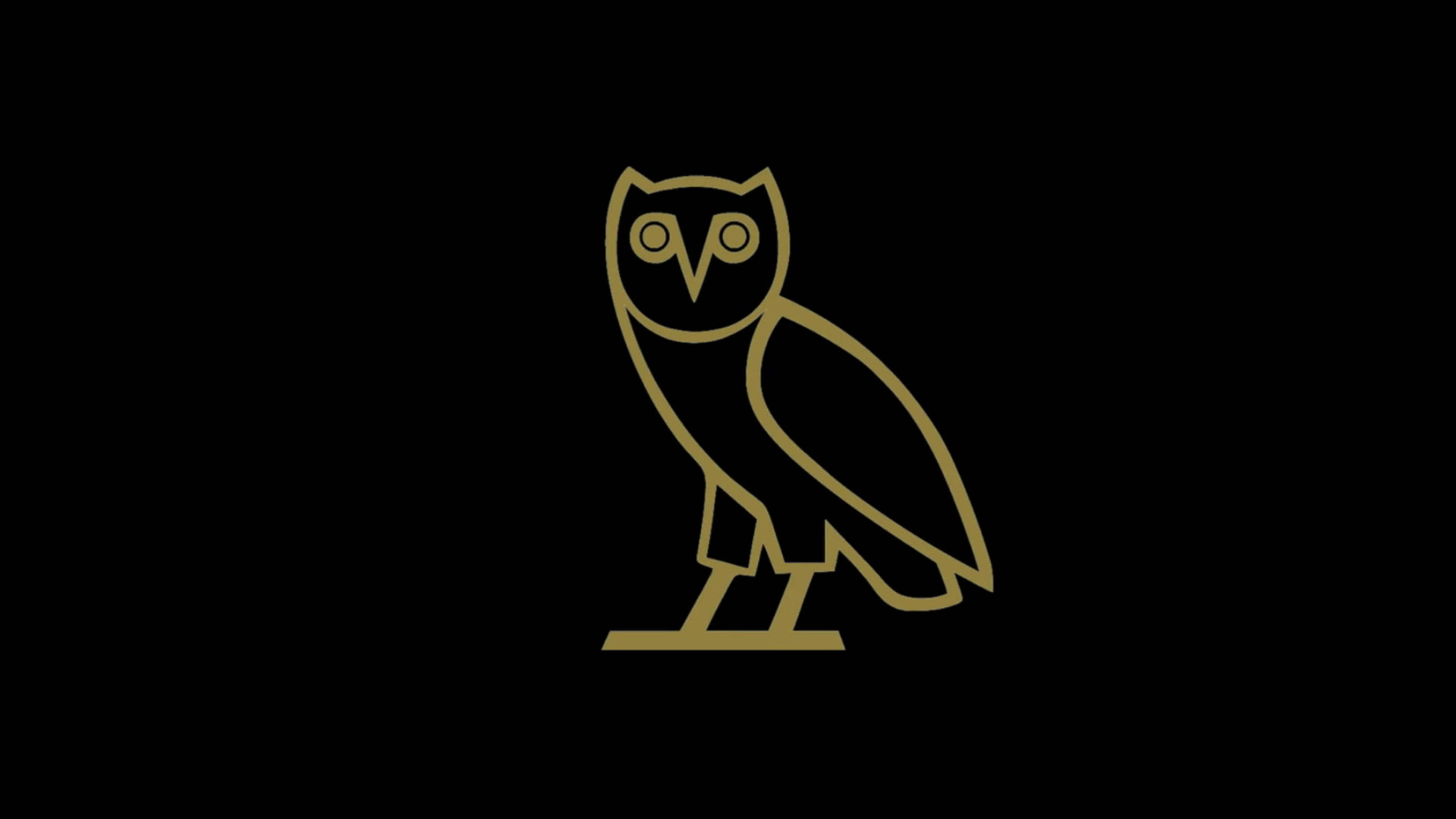 Drake 桌布 壁紙 — 一個極簡金色貓頭鷹輪廓居中於純黑色背景上。
