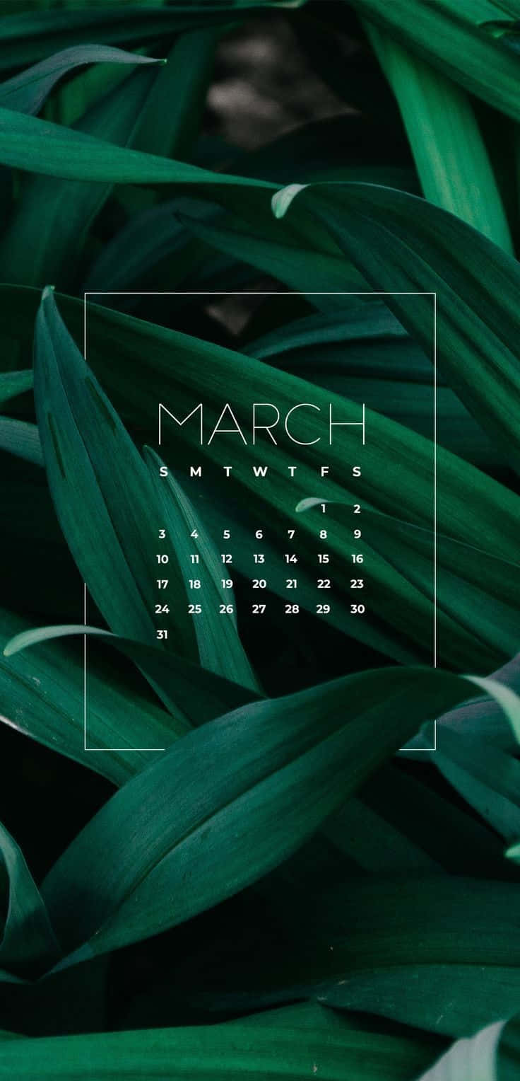 March 桌布 壁紙 — 一個極簡風格的三月日曆，疊加在茂密的深綠色熱帶葉片上，帶有柔和自然光線。