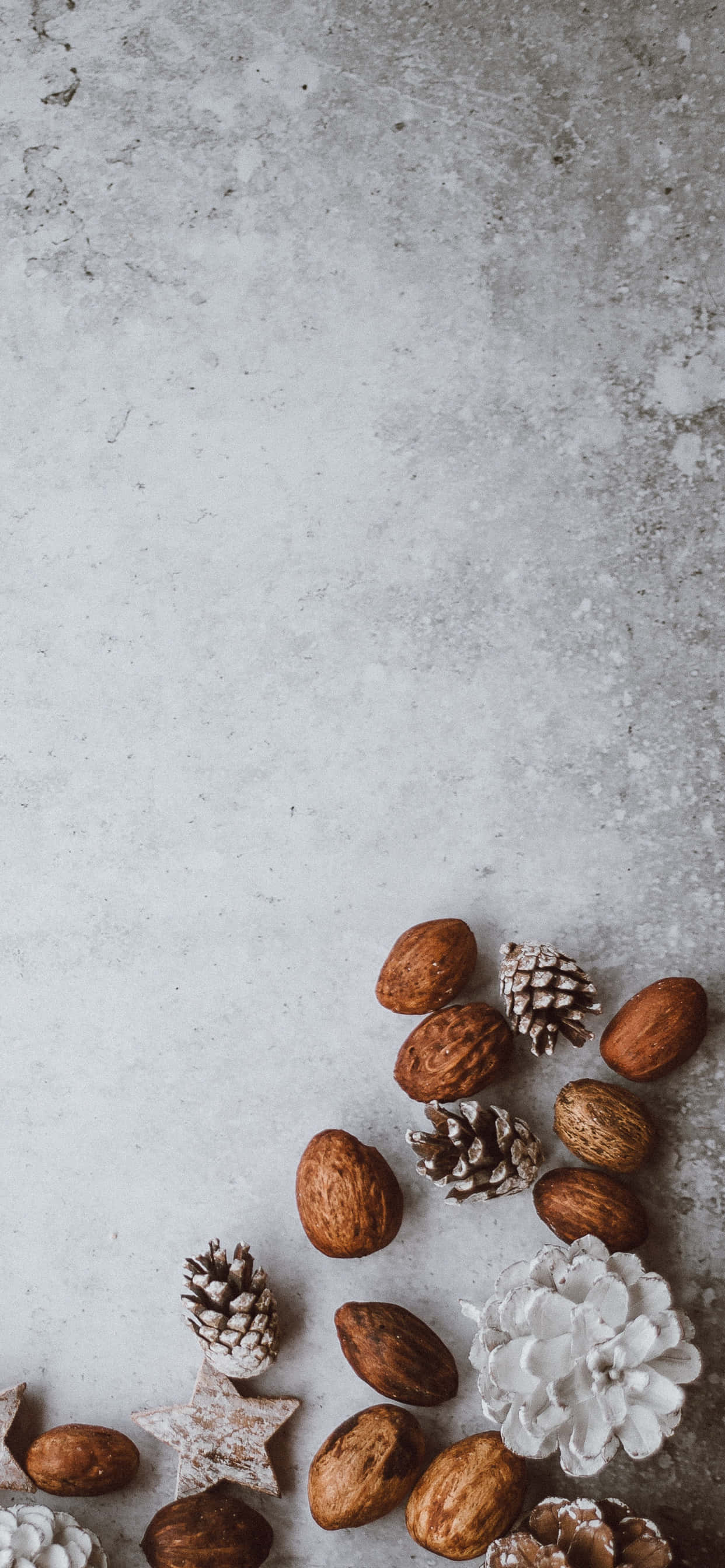 Winter Food 桌布 壁紙 — 一個極簡風格的平鋪佈局，將松果、杏仁和白色裝飾元素排列在有紋理的灰色混凝土表面上。