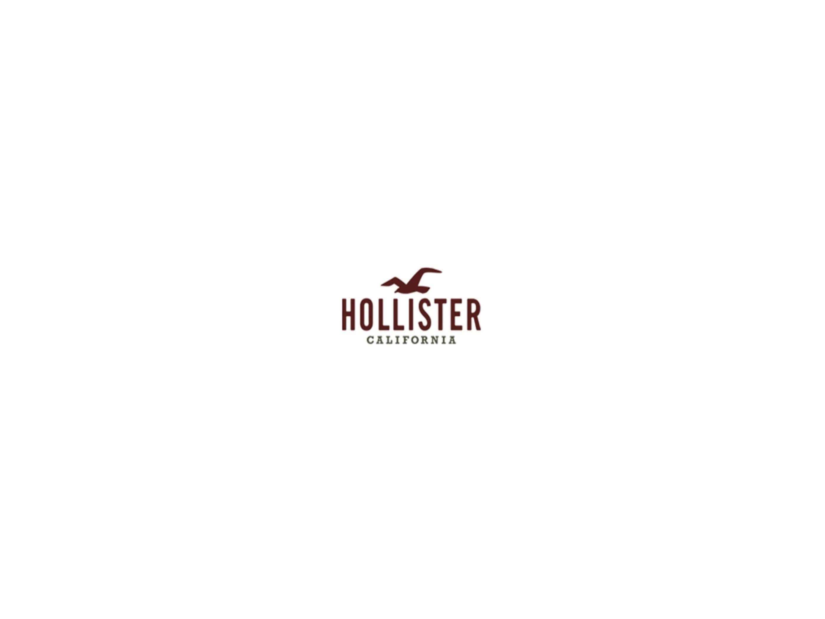 hollister 桌布 壁紙 — 一個極簡風格的棕色Hollister California標誌，中央有一隻海鷗剪影，置於純白背景上。