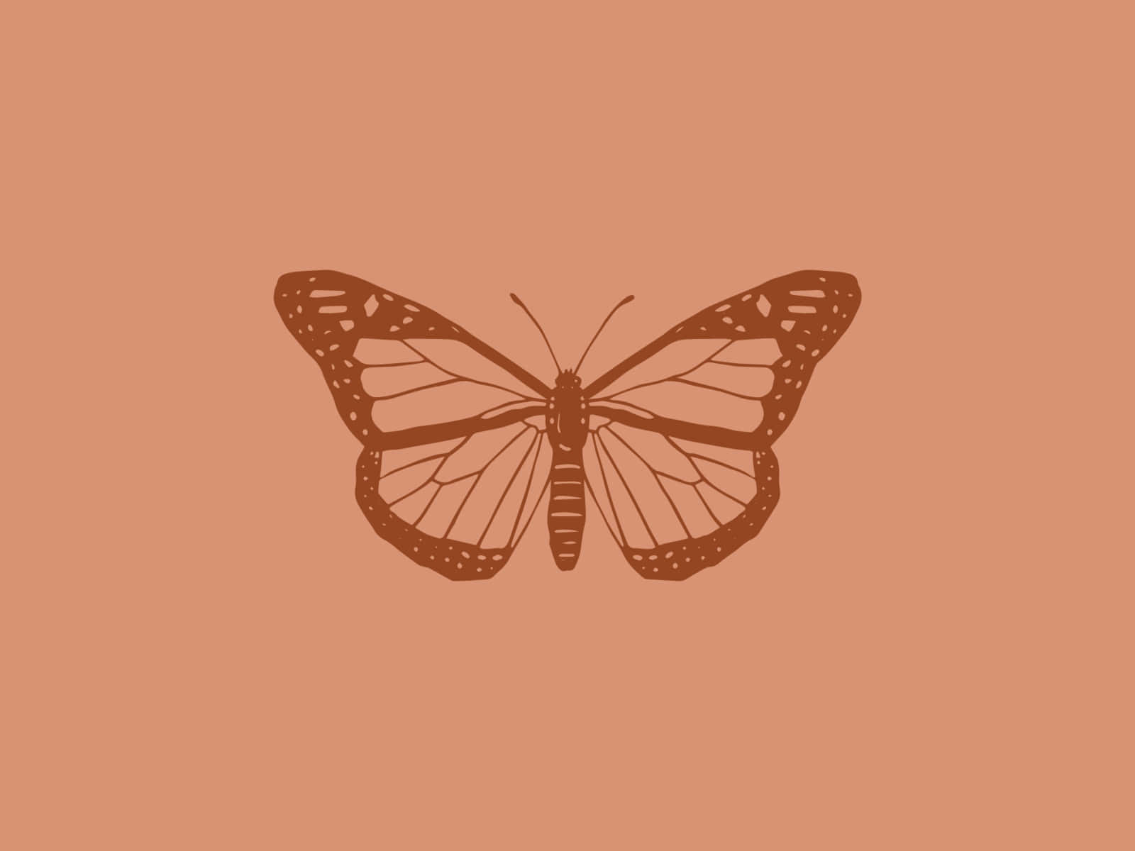 Butterflies Laptop 桌布 壁紙 — 一個極簡風格的棕色蝴蝶插圖，帶有詳細的翅膀脈絡，居中於純色陶土背景上。