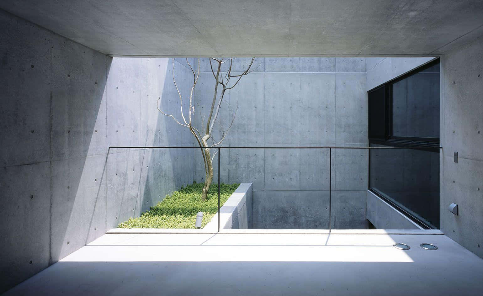 Minimalist Architecture 桌布 壁紙 — 一個極簡風格的混凝土庭院，有一棵光禿禿的樹和沐浴在明亮陽光下的綠草。