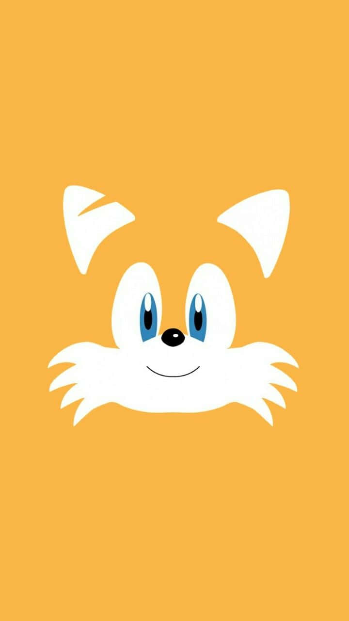Tails 桌布 壁紙 — 一個極簡風格的白色卡通狐狸臉，藍色眼睛，在純橙色背景上微笑。