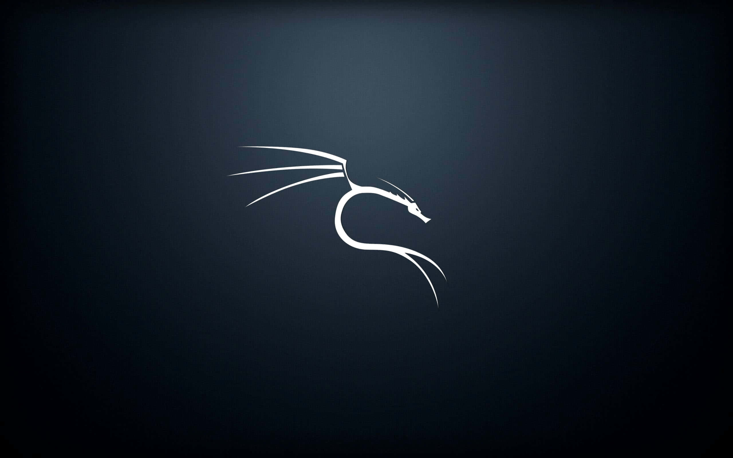 Kali Linux 桌布 壁紙 — 一個極簡風格的白色龍標誌在深藍色漸變背景上發光。