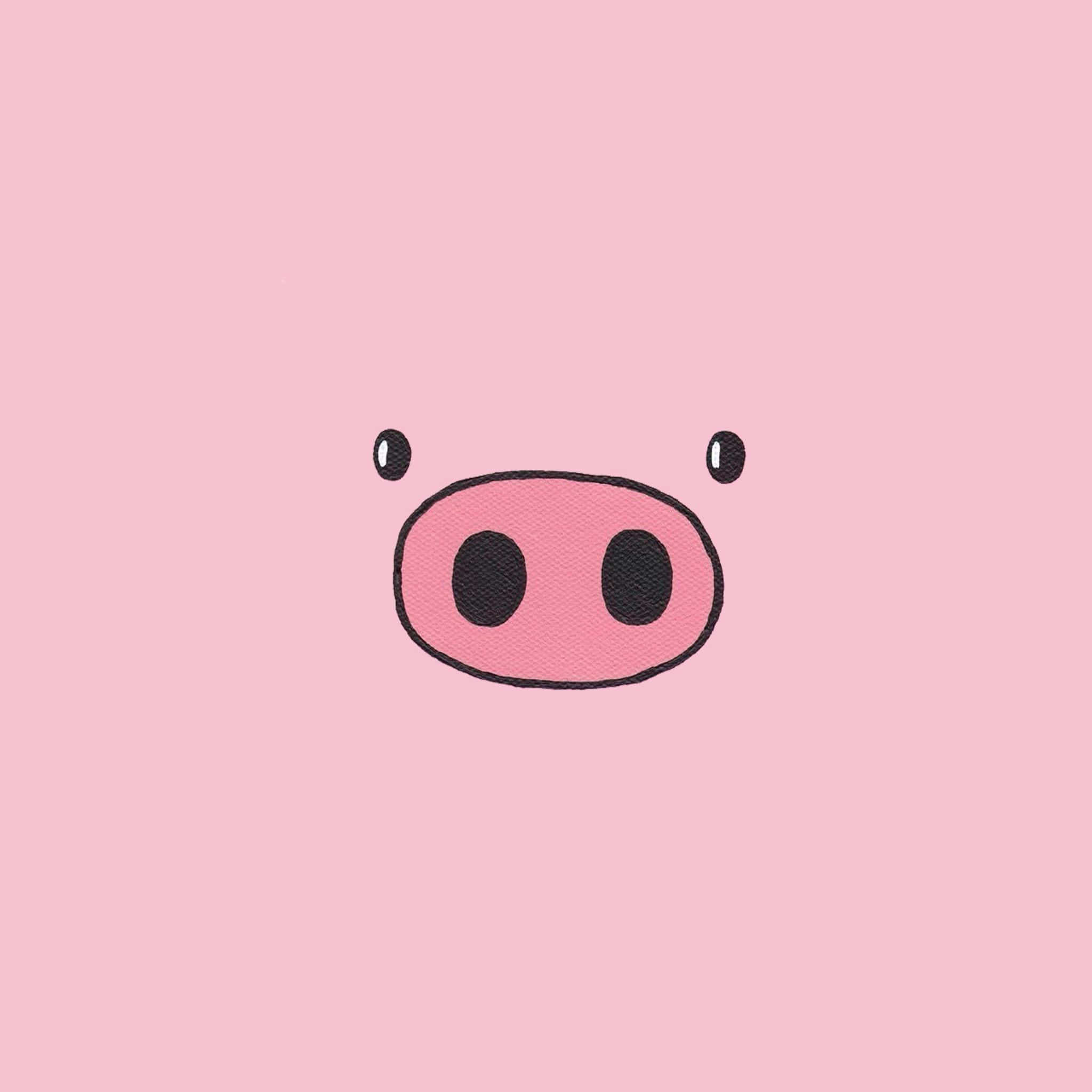 Pig 桌布 壁紙 — 一個極簡風格的粉紅色豬鼻，帶有黑色鼻孔和小眼睛，位於柔和的粉紅色背景中央。