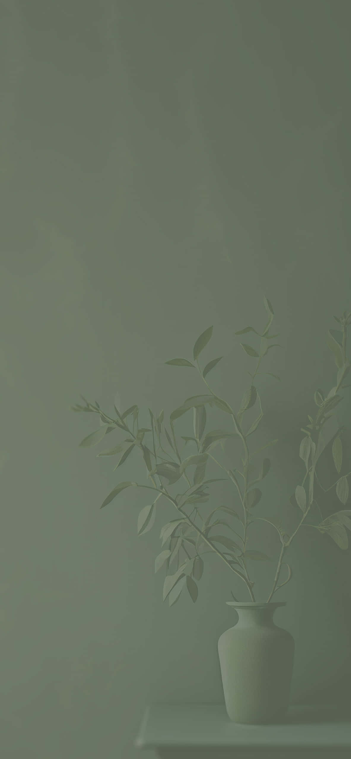 鼠尾草綠 桌布 壁紙 — 一個極簡風格的花瓶，帶有精緻的樹枝和葉子，放在架子上，背景是柔和的綠色牆壁。