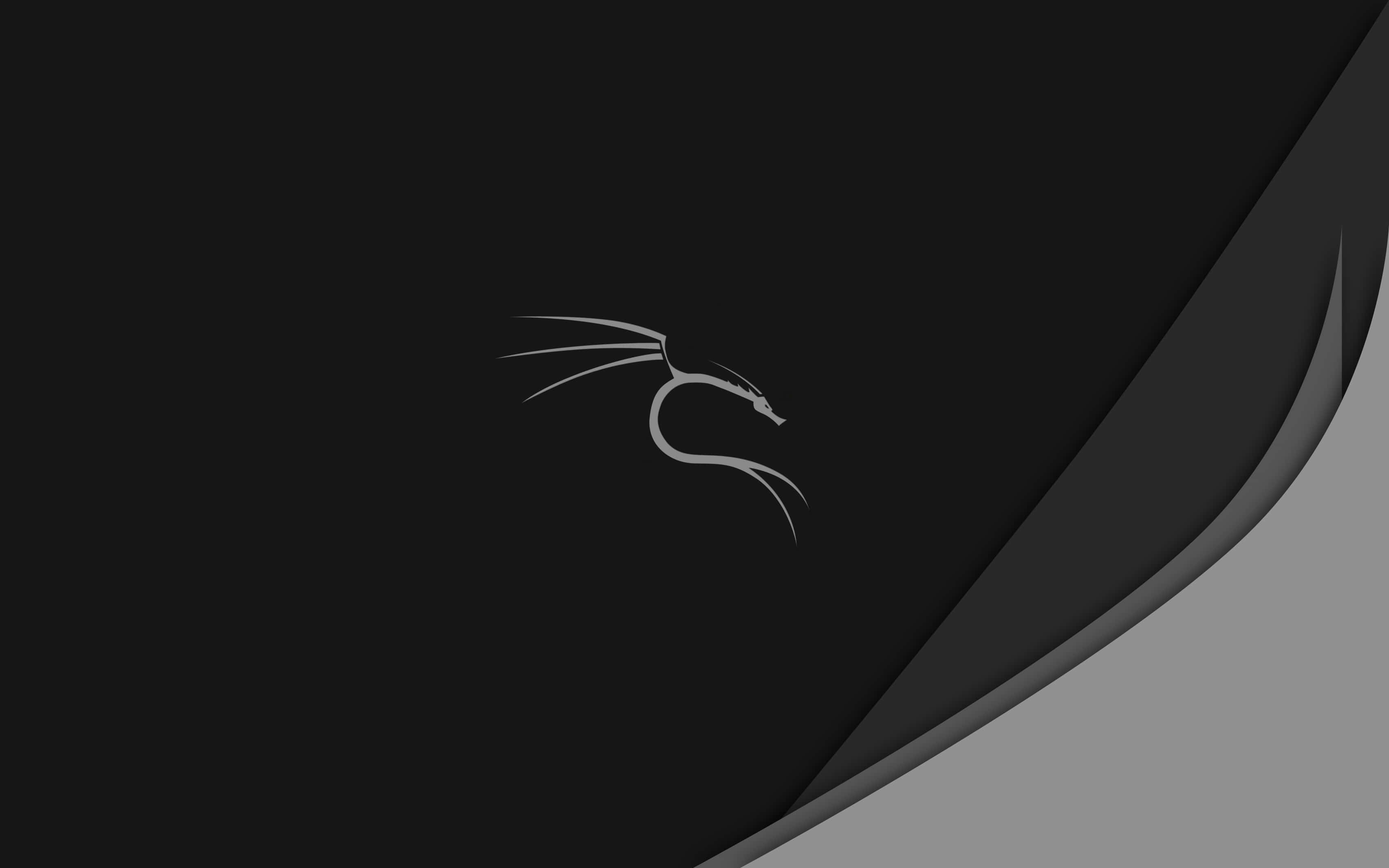 Kali Linux 桌布 壁紙 — 一個極簡風格的銀色龍標誌，居中放在黑色背景上，角落有灰色對角漸變。