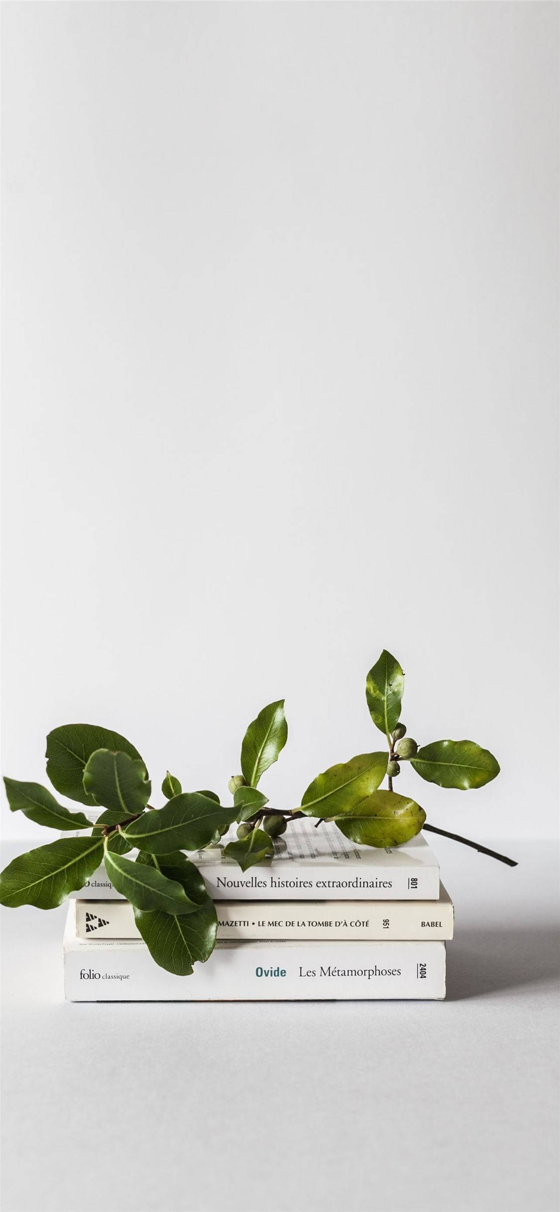 Plant iPhone 桌布 壁紙 — 一個極簡風格的靜物，堆疊的書本上放著新鮮的綠色樹枝，背景是純白色。