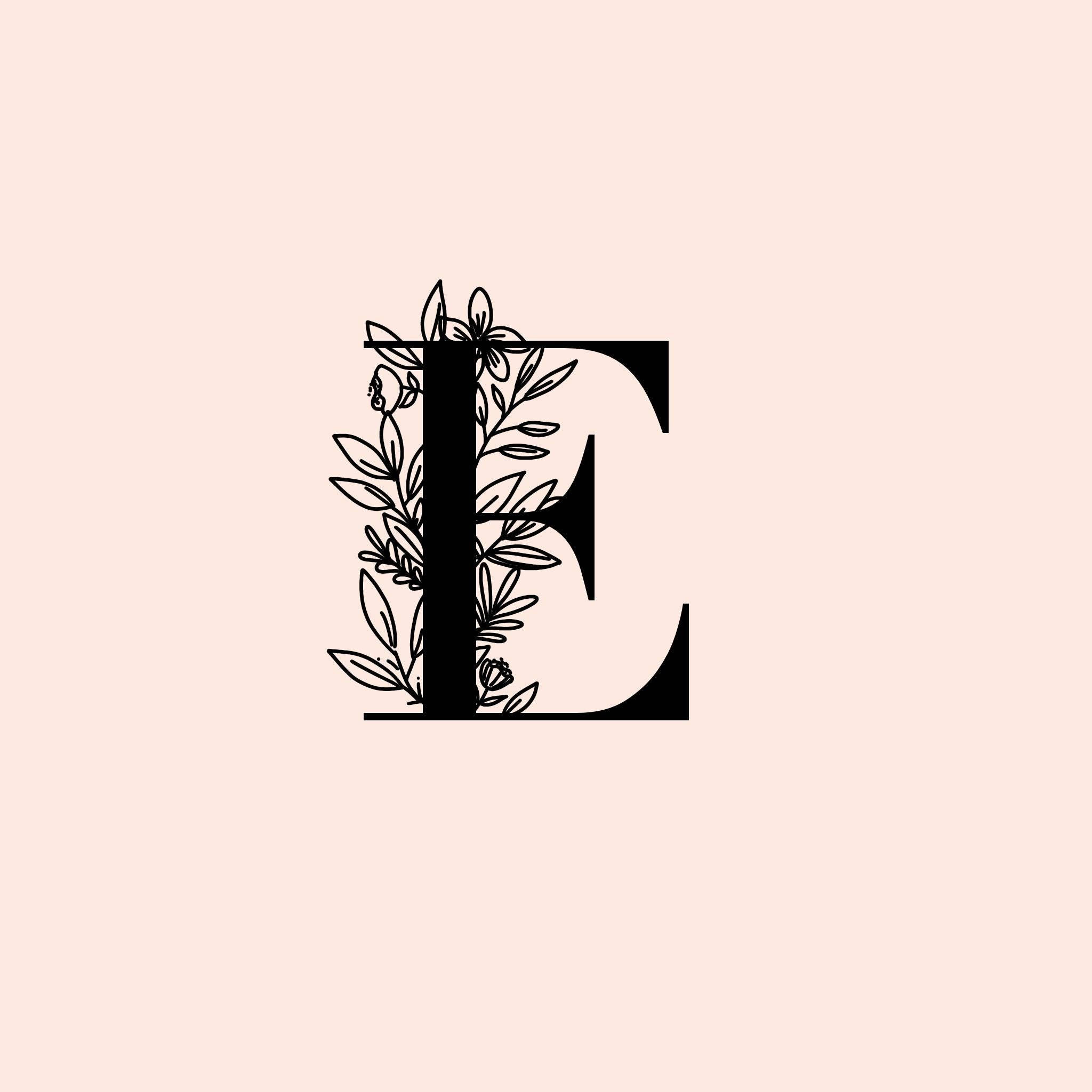 E 桌布 壁紙 — 一個極簡風格的黑色字母E，飾以精緻的花卉線條藝術，襯以柔和腮紅背景。