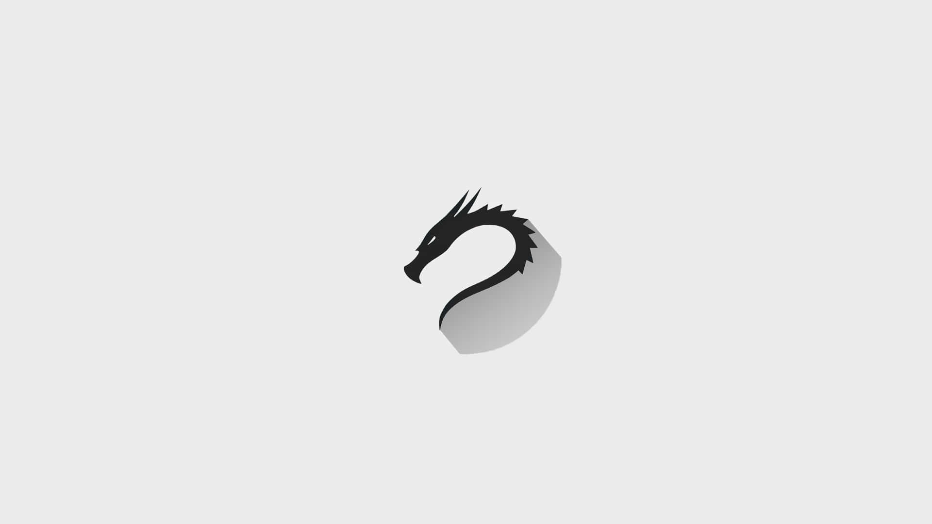 Kali Linux 桌布 壁紙 — 一個極簡風格的黑色龍頭剪影在純淺灰色背景上投射出柔和陰影。