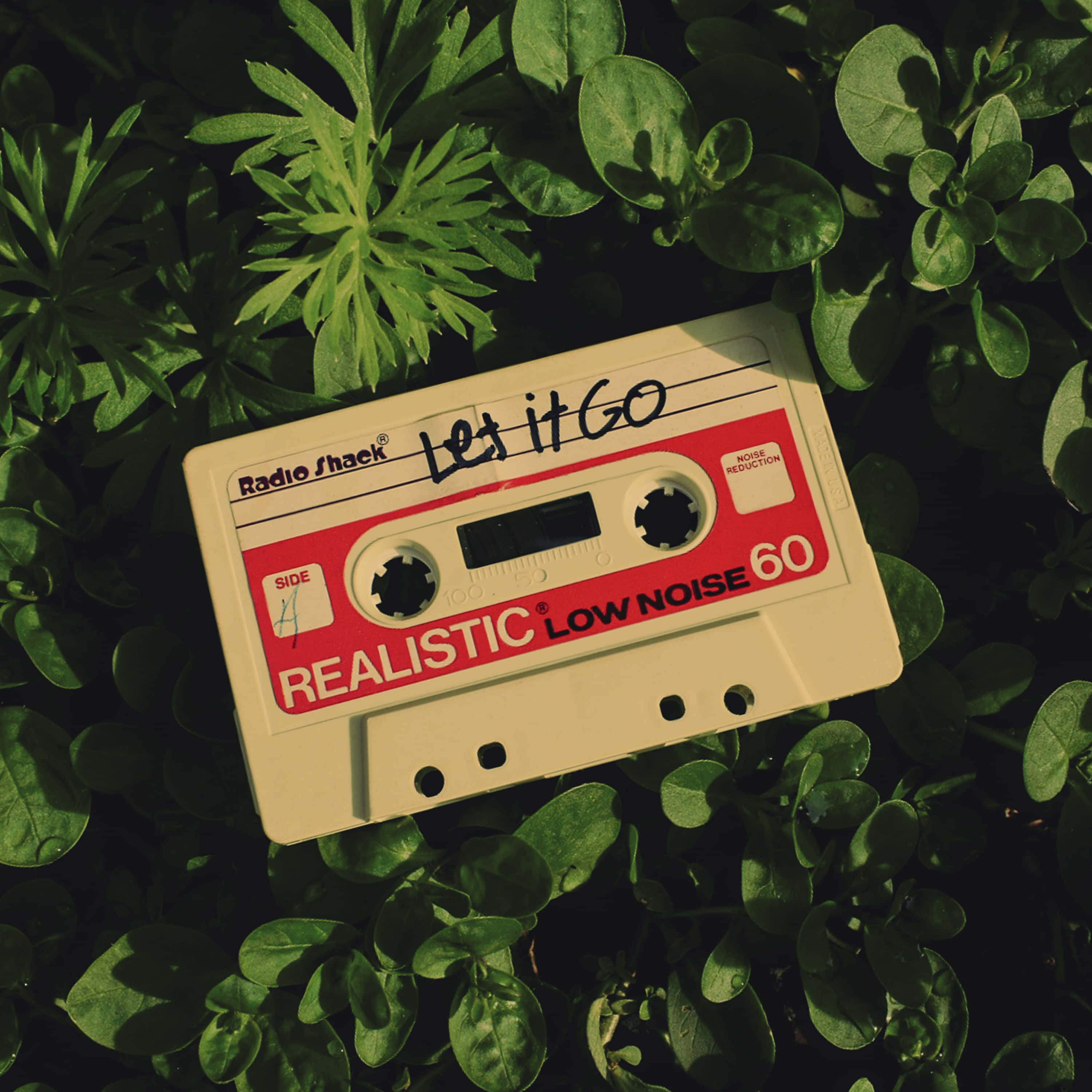 Retro 桌布 壁紙 — 一個標有「Let it Go」的復古Radio Shack卡式錄音帶，在溫暖的陽光下躺在茂密的綠葉中。