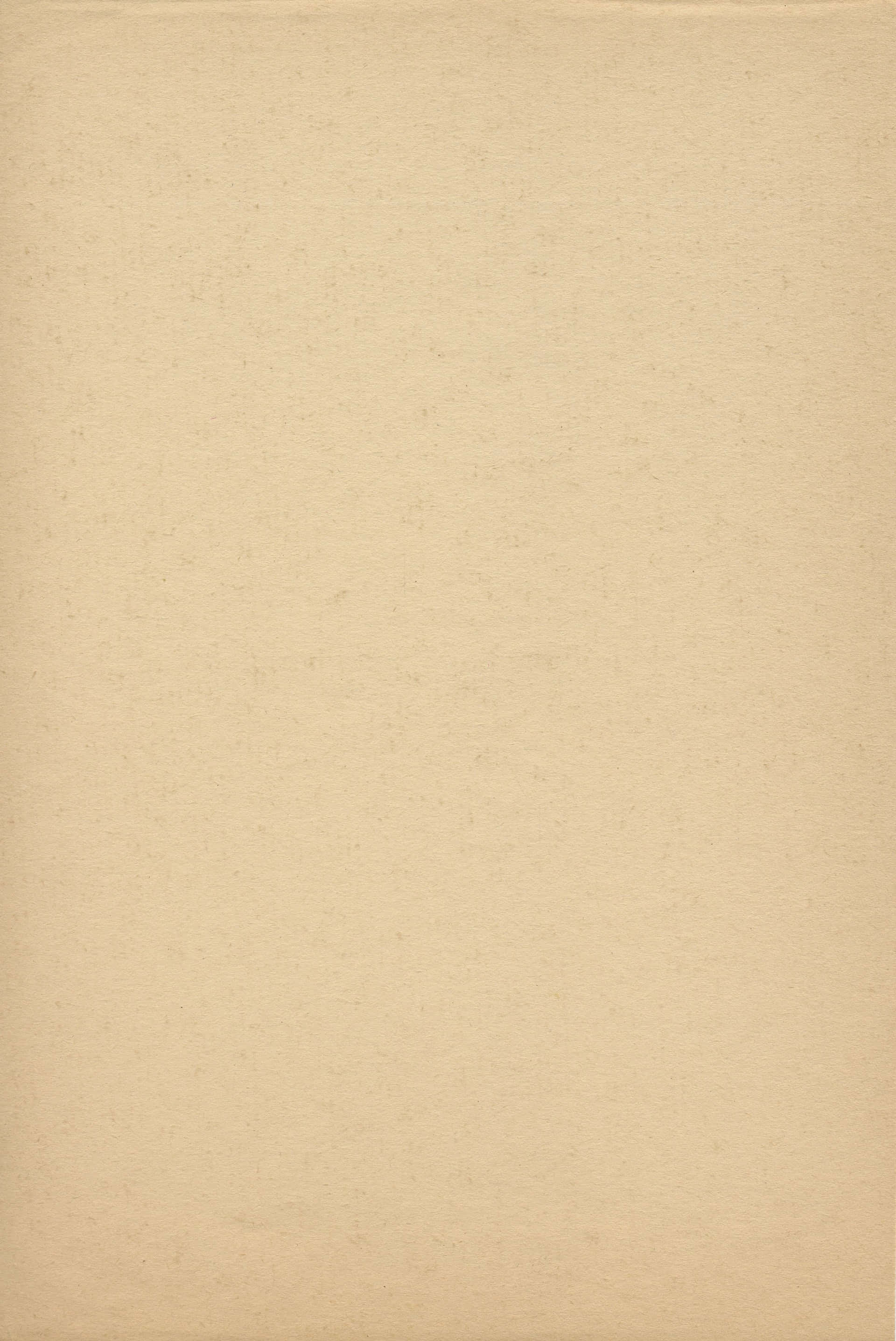 Parchment 桌布 壁紙 — 一個樸素的米色紋理紙張背景，帶有細微的顆粒感和邊緣的柔和陰影。