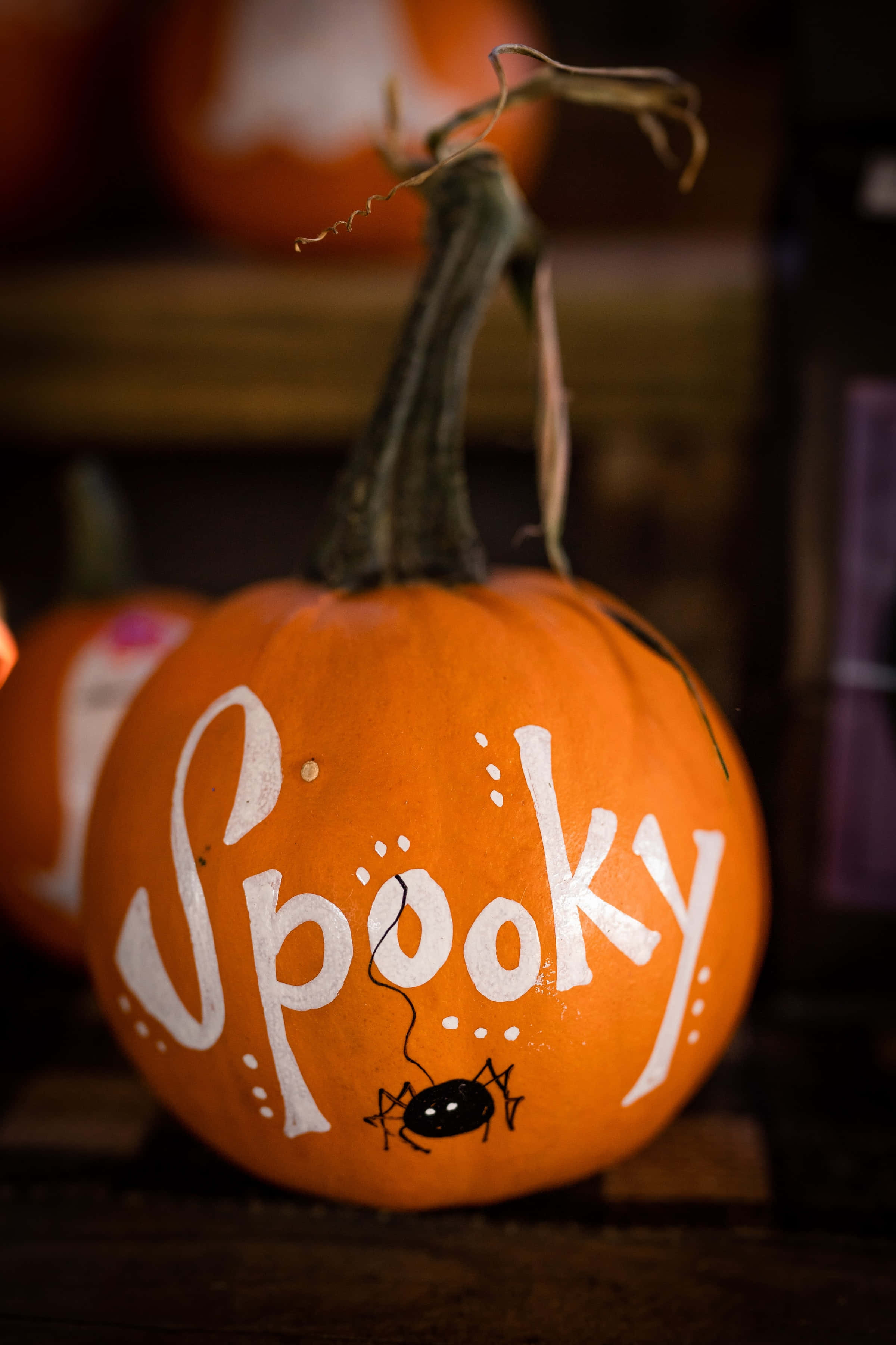 jack o'lantern 桌布 壁紙 — 一個橙色南瓜的特寫，上面有白色「Spooky」字樣和黑色蜘蛛裝飾，背景為深色木材。