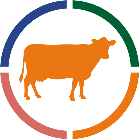 Cattle 桌布 壁紙 — 一個橙色牛剪影位於彩色分段圓形框架中央，背景為黑色。