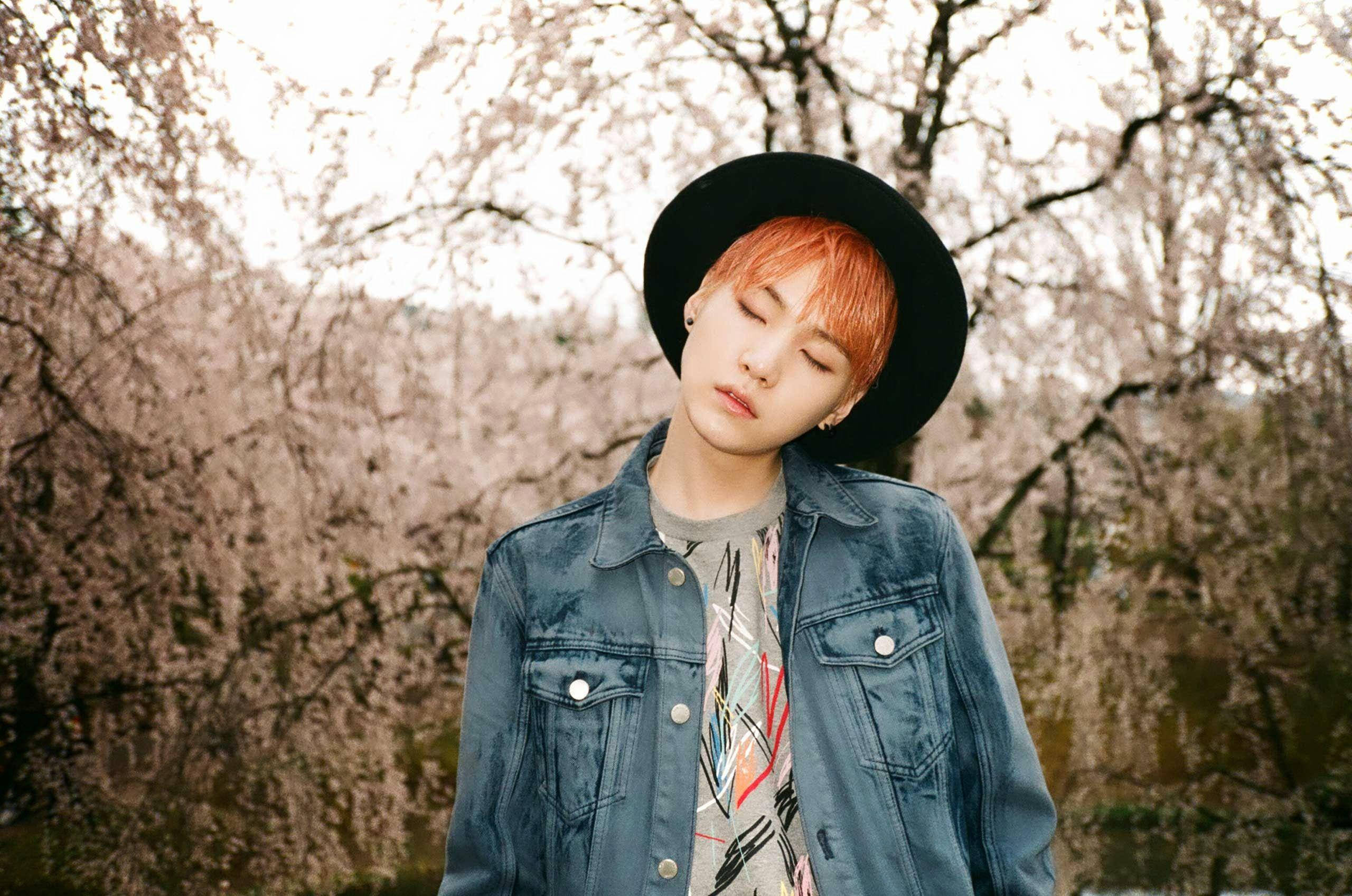Suga Bts 桌布 壁紙 — 一個橙色頭髮、戴黑色帽子的人，在柔和日光下靜靜地站在盛開的櫻花樹下。