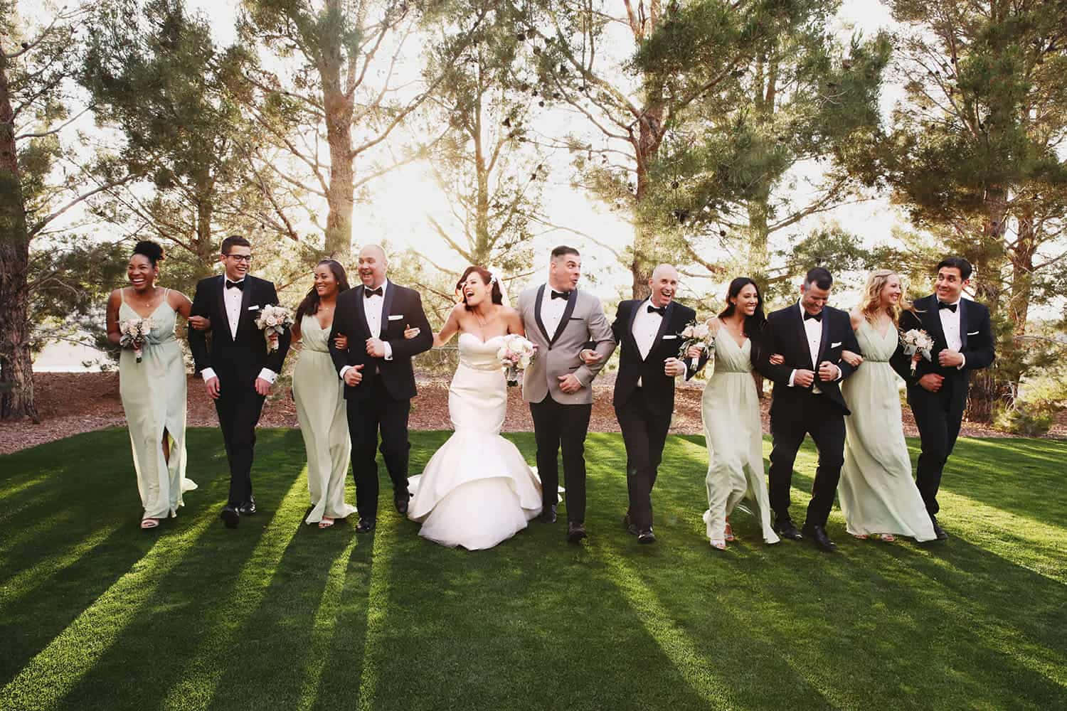 Bridal 桌布 壁紙 — 一個歡樂的婚禮派對笑著走過陽光明媚的草地，四周環繞著高大的松樹。
